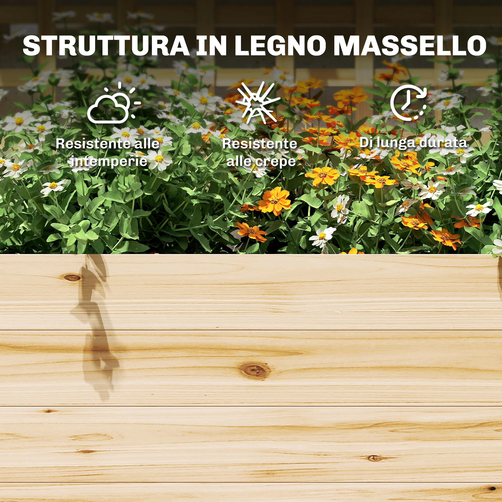 Immagine prodotto 8