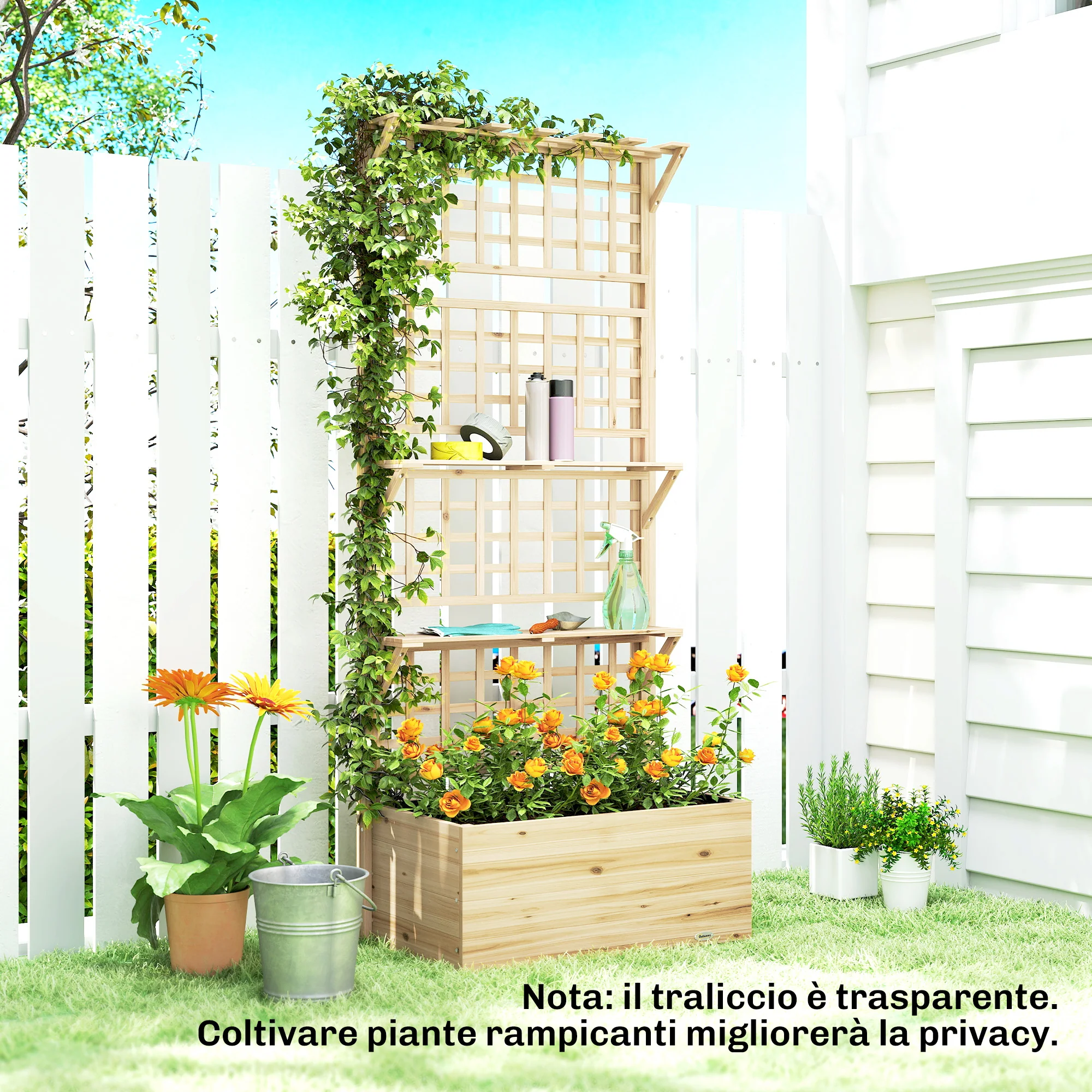 Immagine prodotto 9