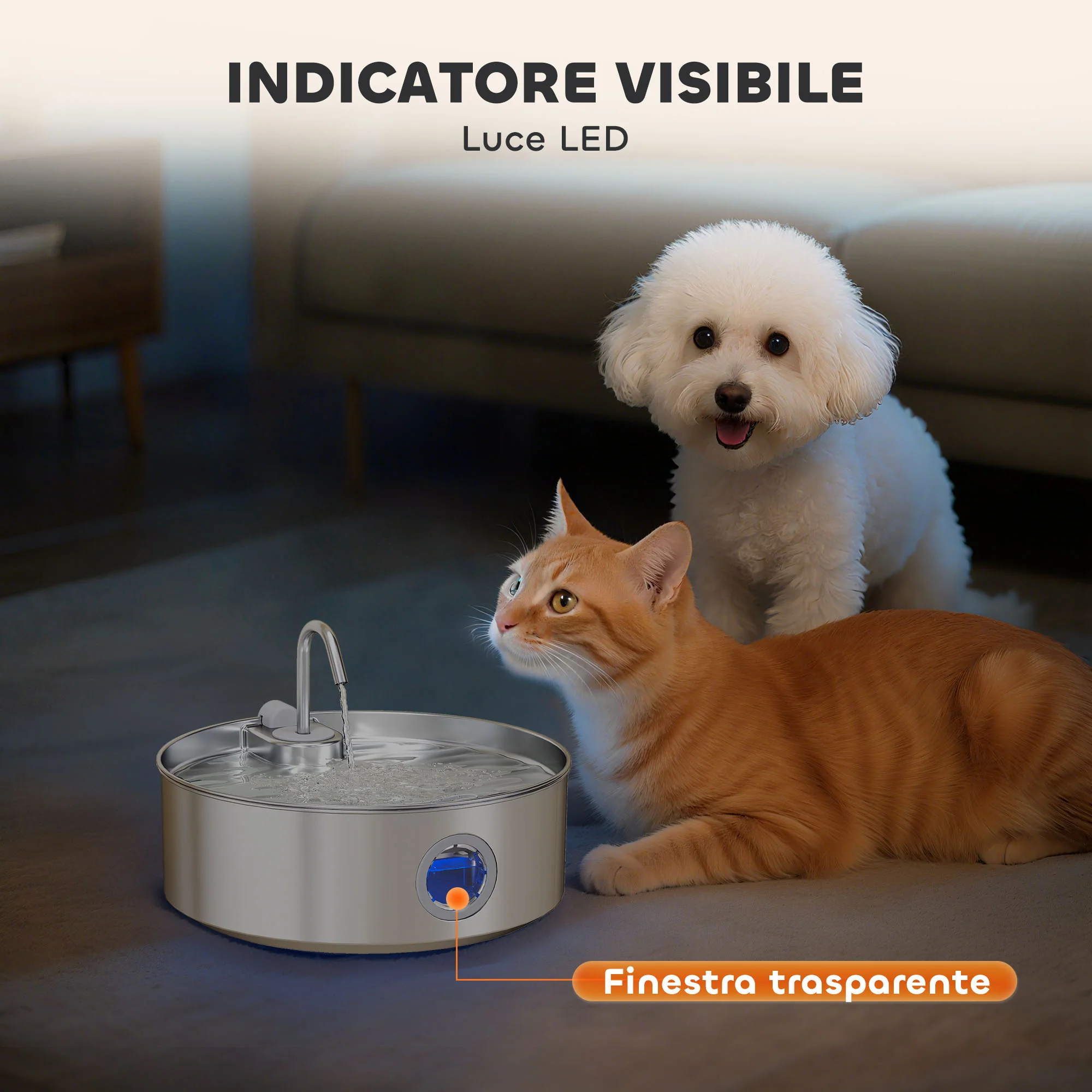 Immagine prodotto 5