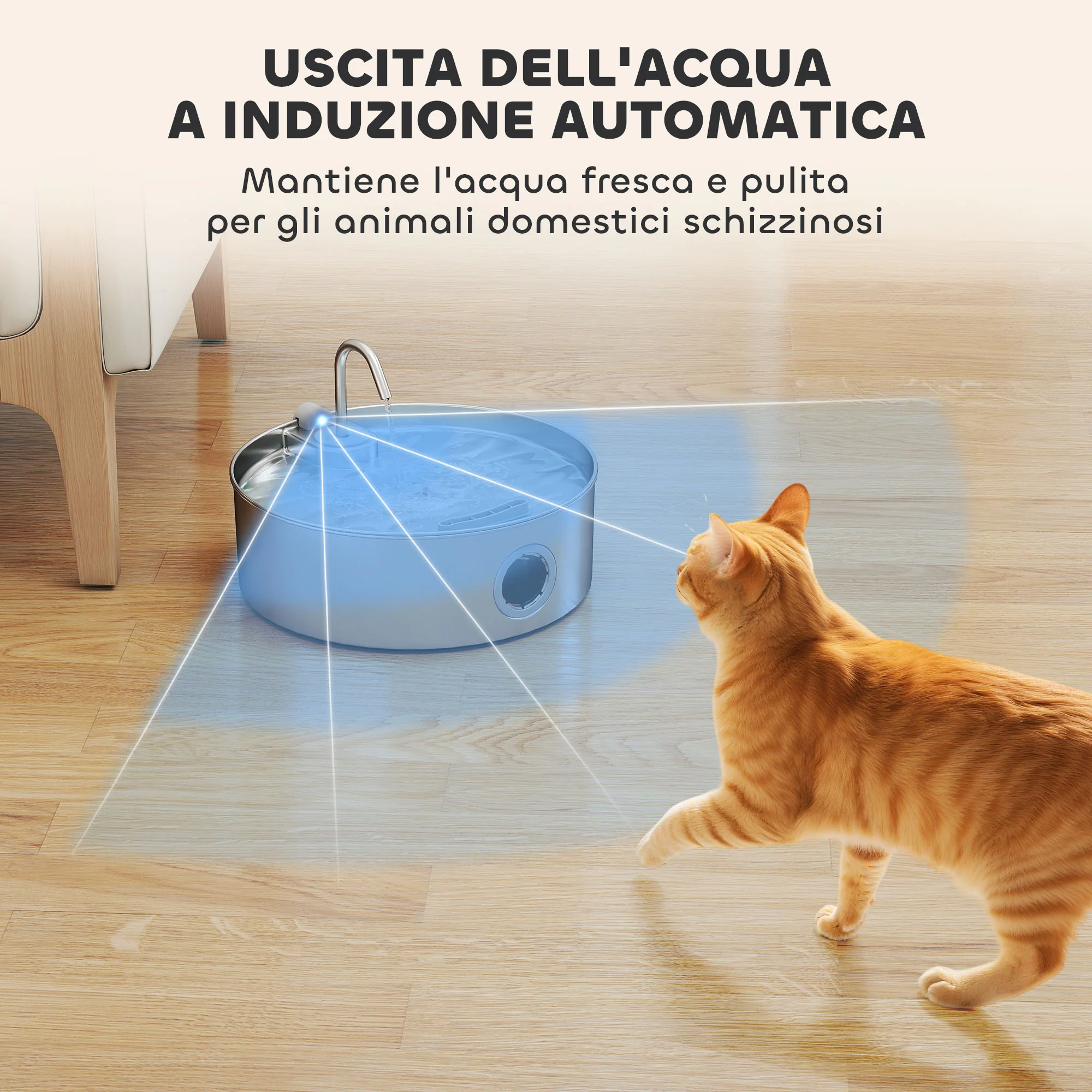 Immagine prodotto 8