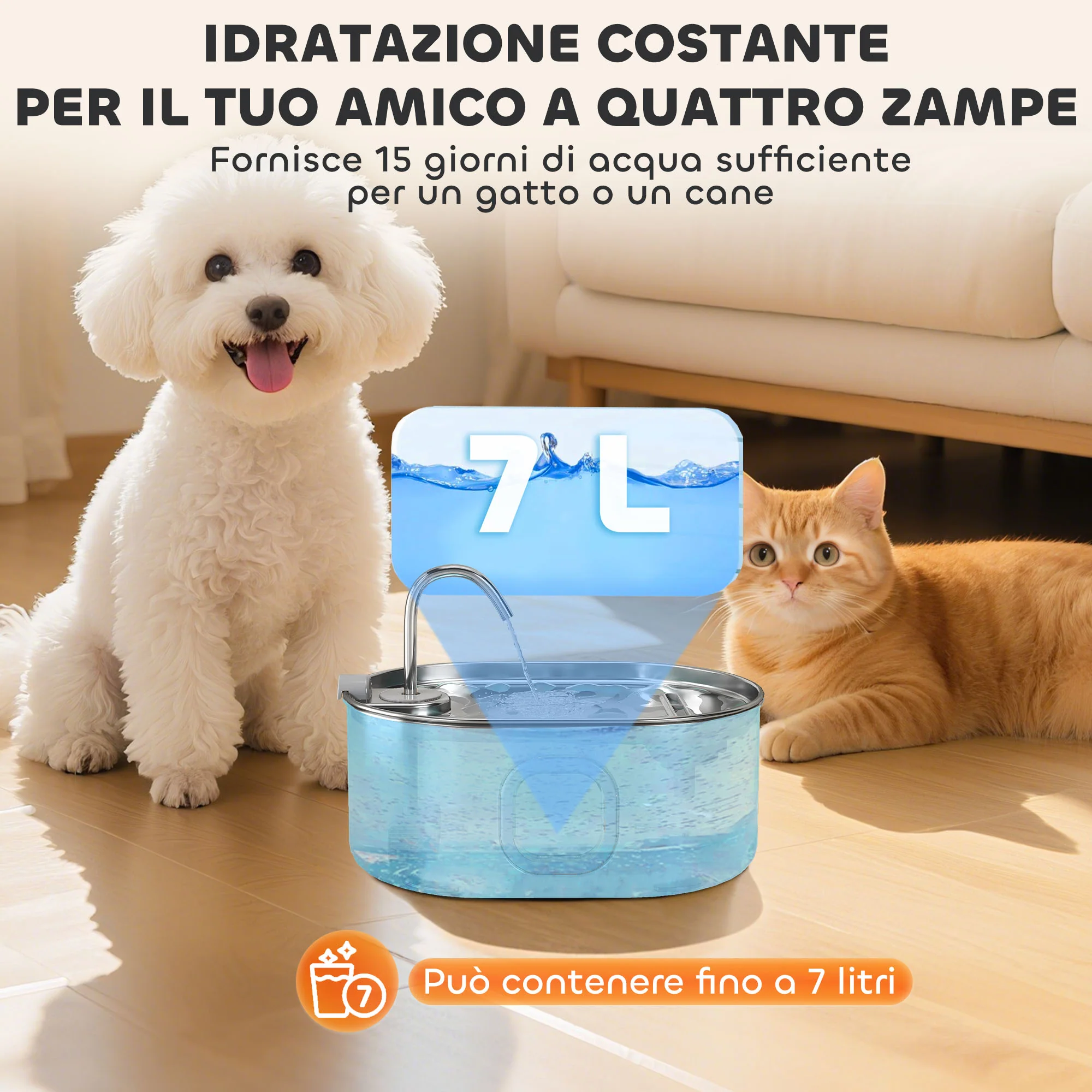 Immagine prodotto 6
