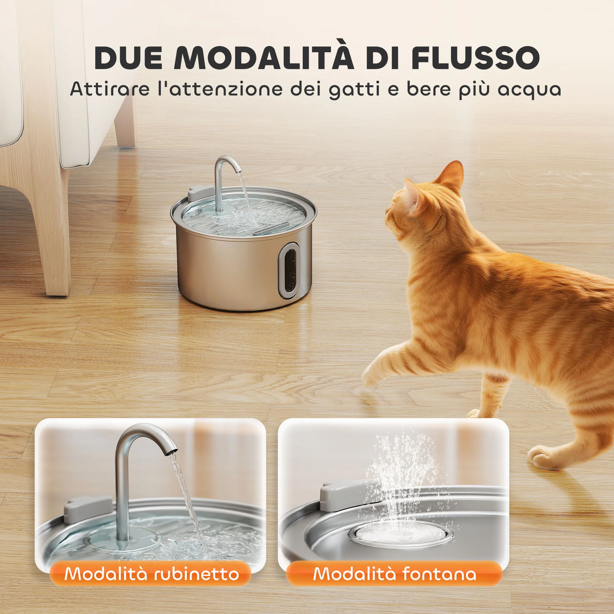 Immagine prodotto 5