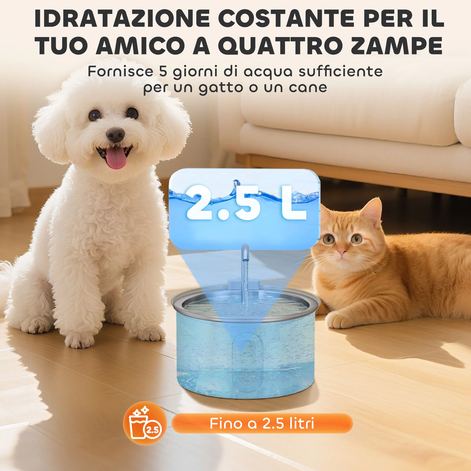 Immagine prodotto 6