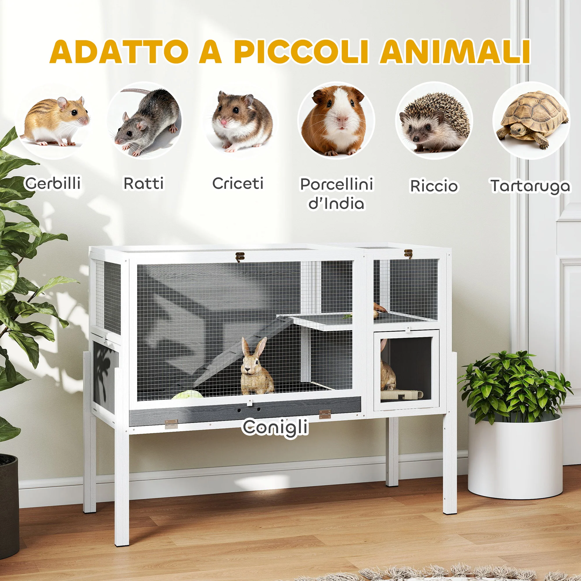 Immagine prodotto 8