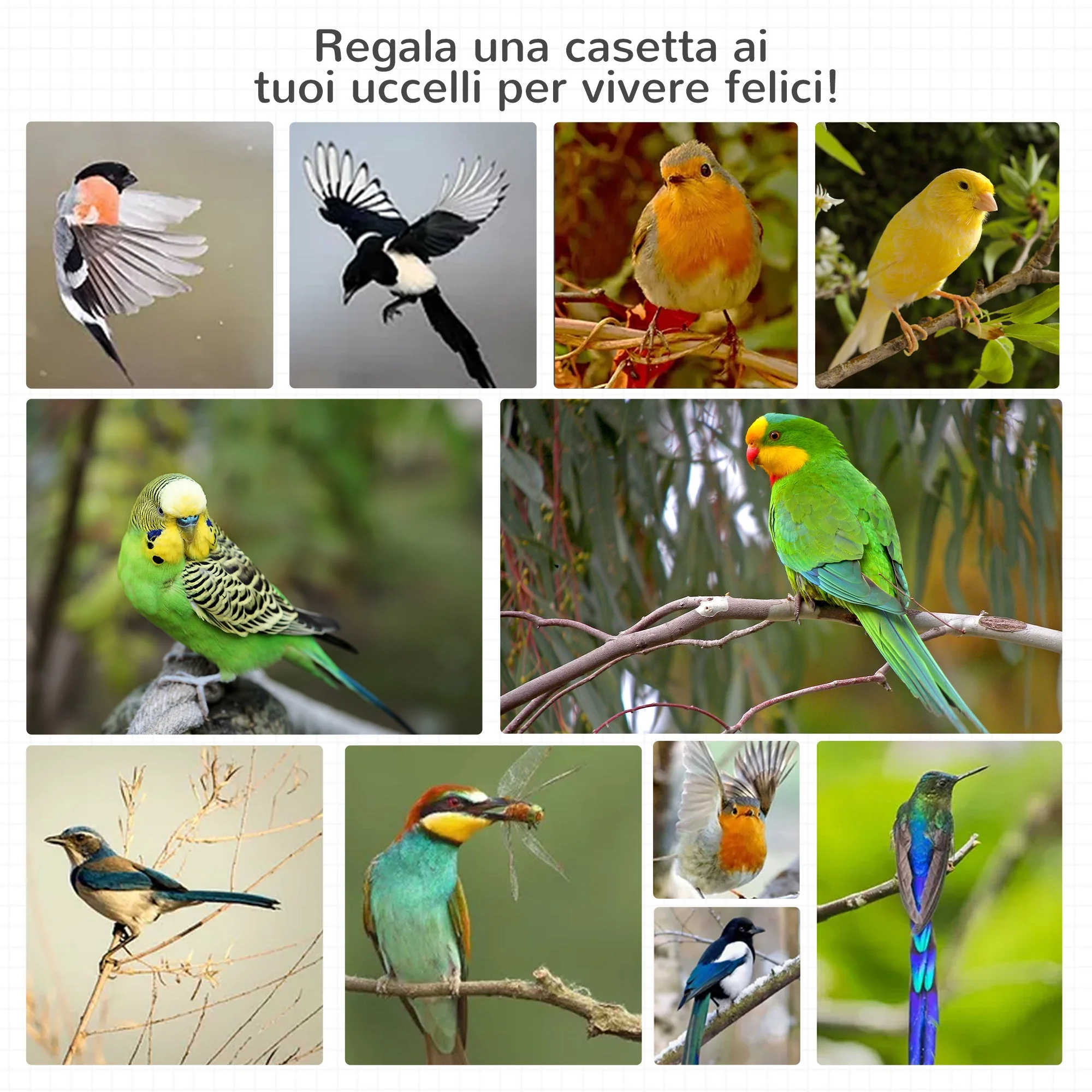 Immagine prodotto 8