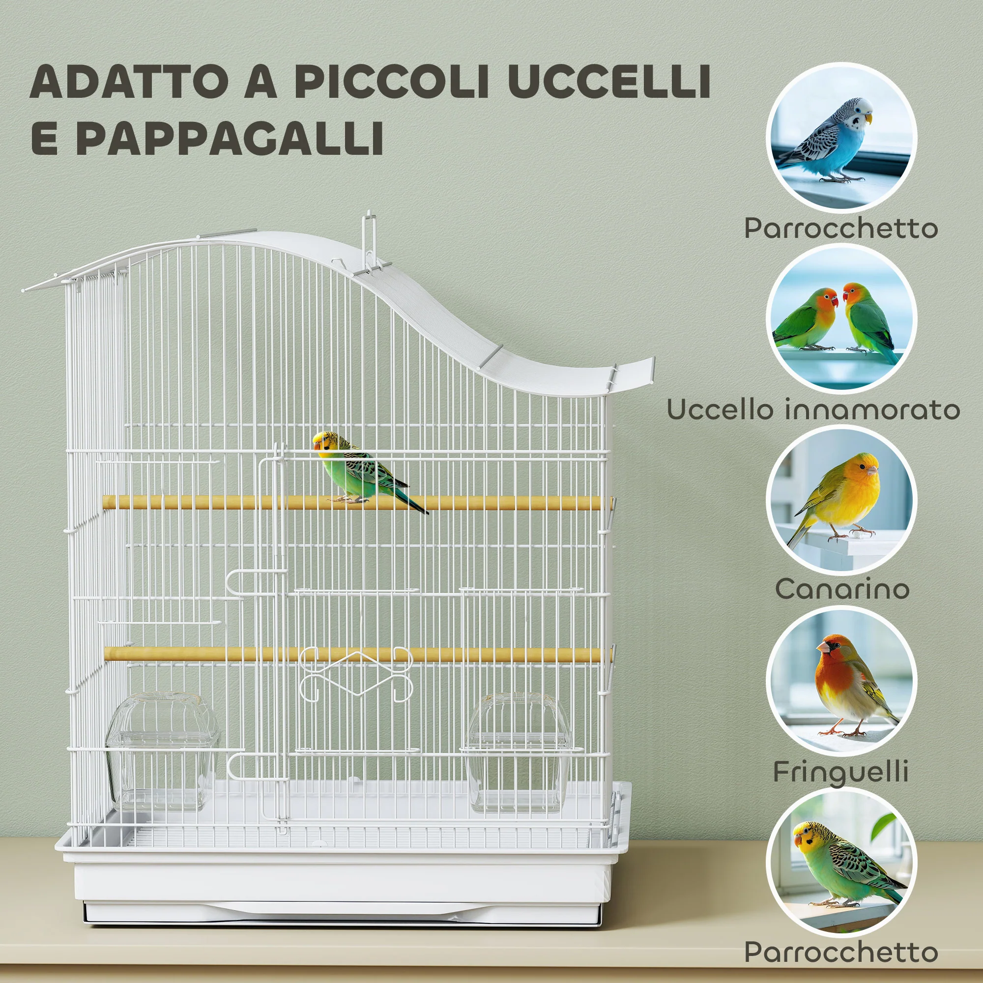 Immagine prodotto 7