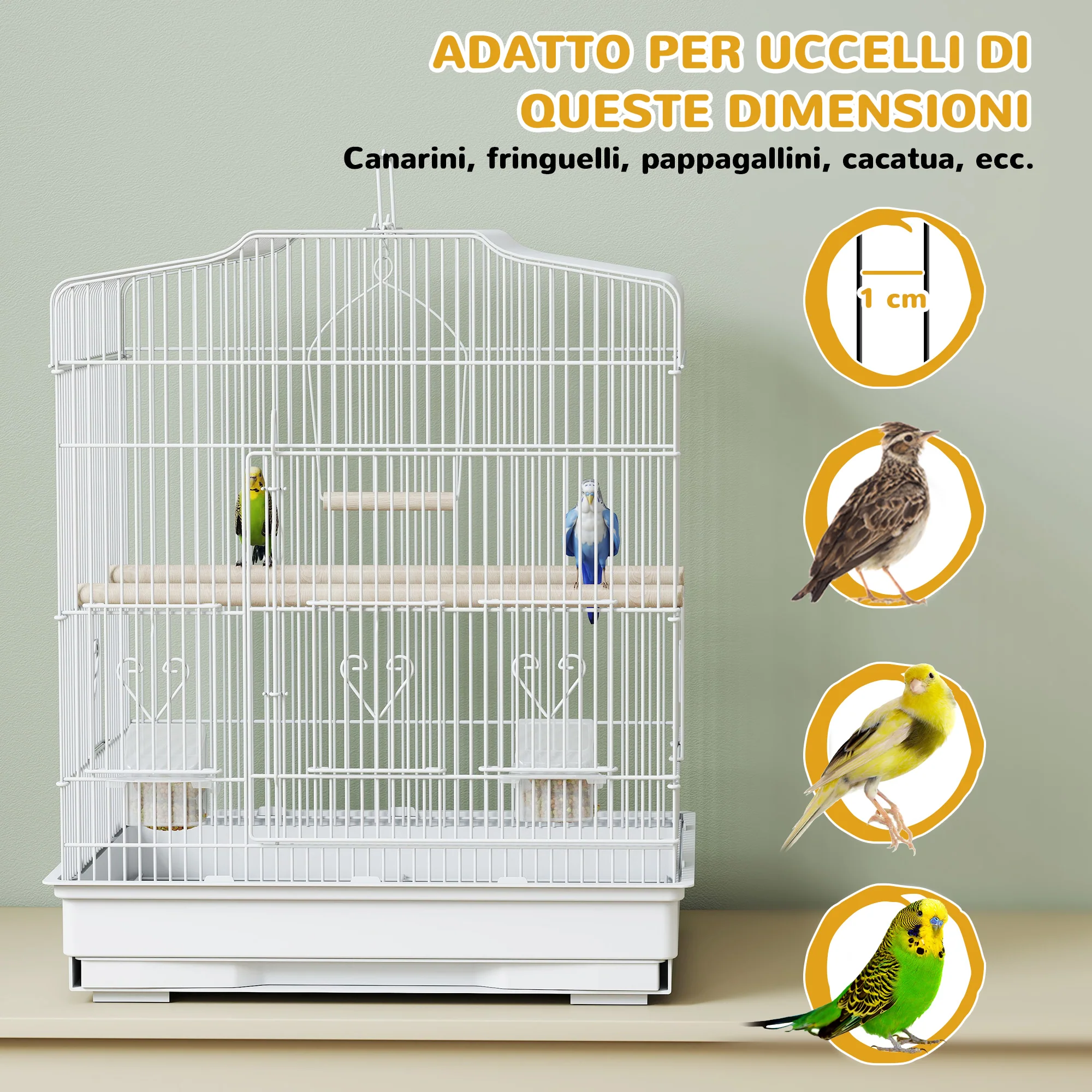 Immagine prodotto 7