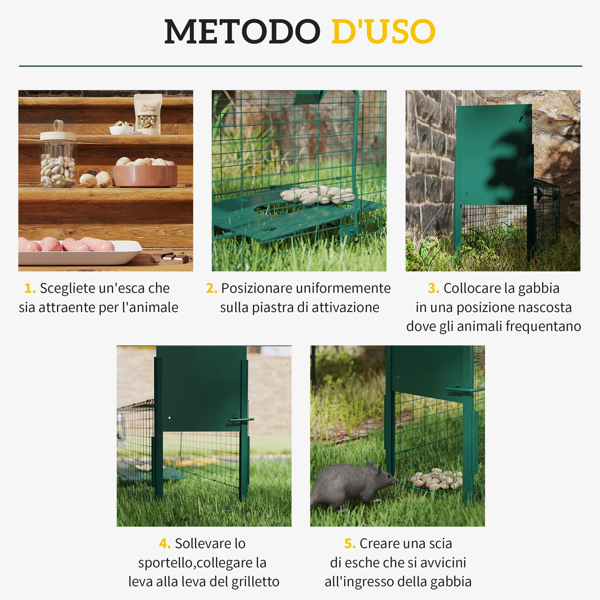 Immagine prodotto 4