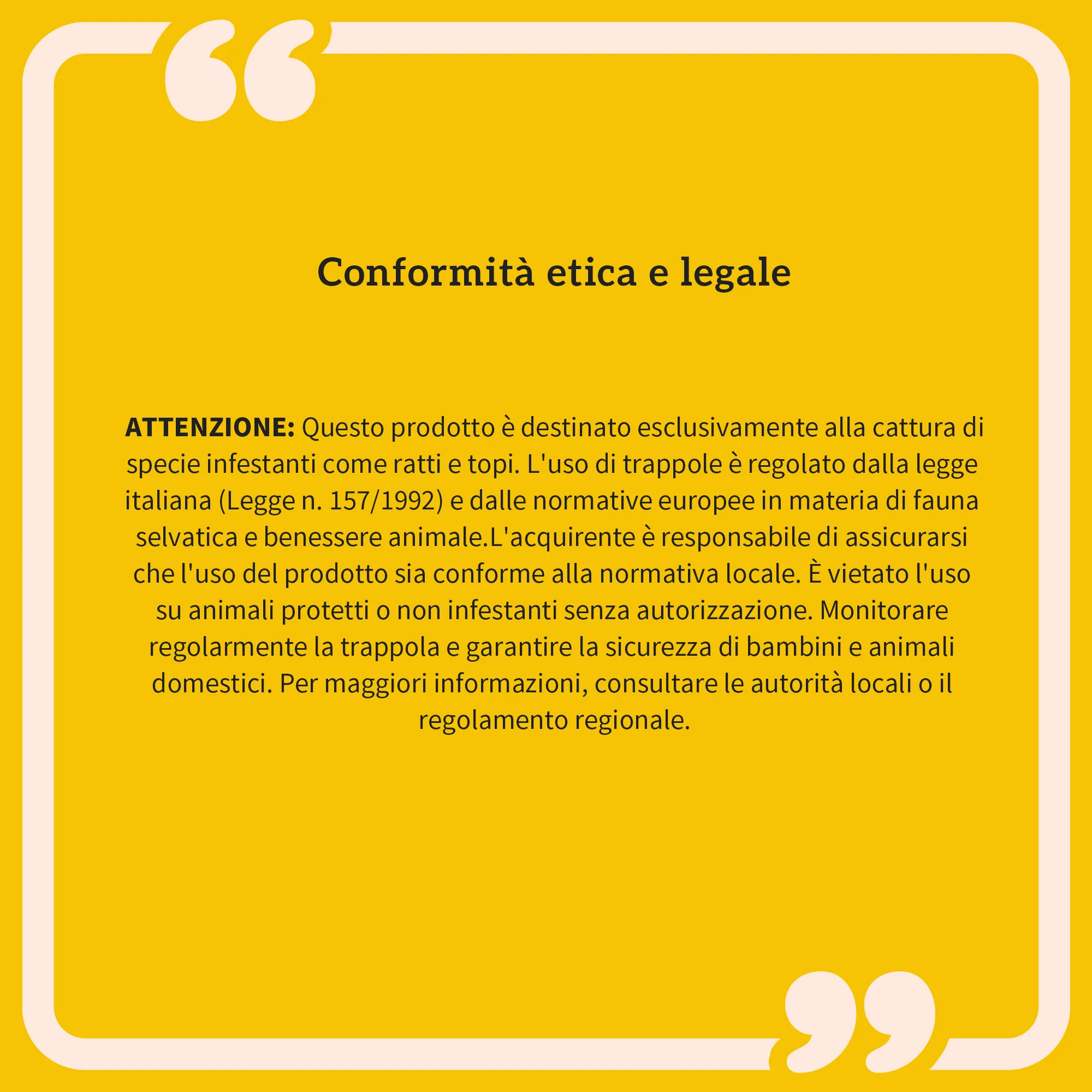Immagine prodotto 6