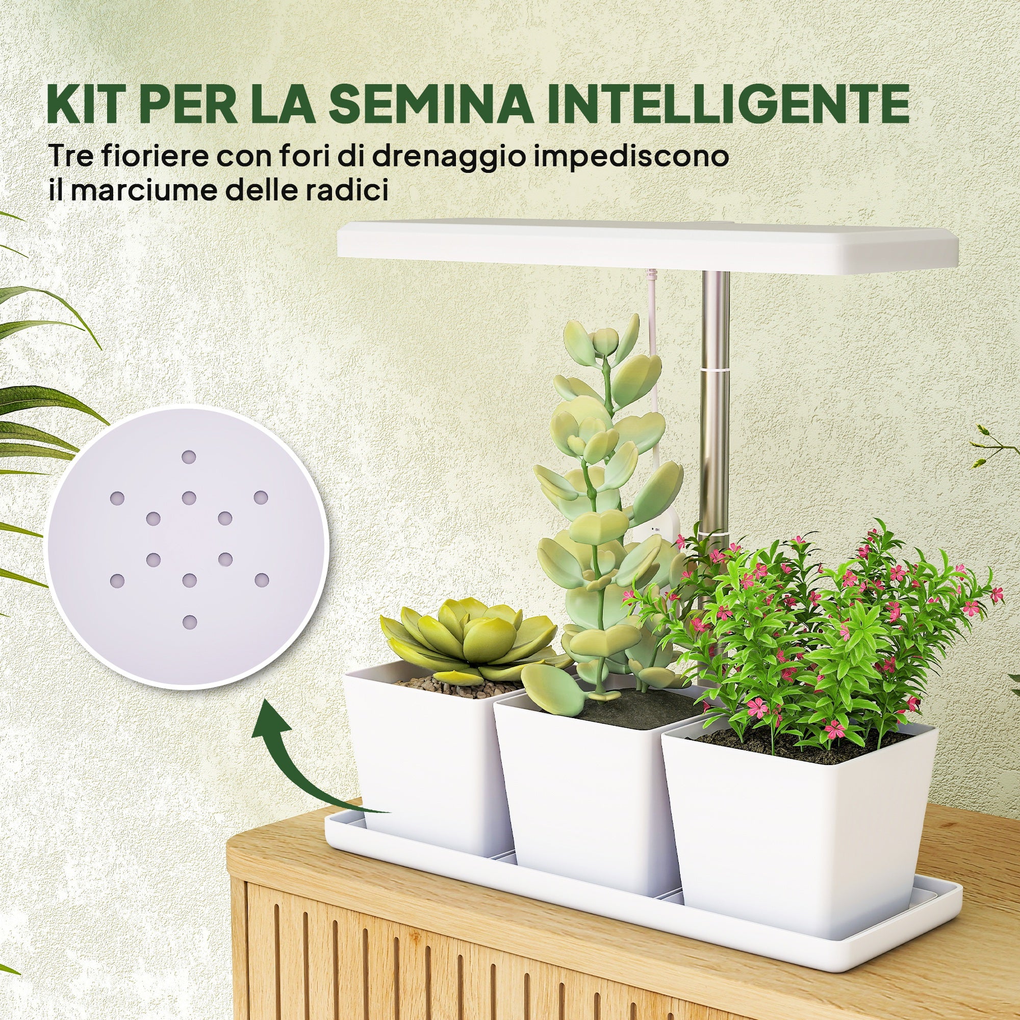Immagine prodotto 4