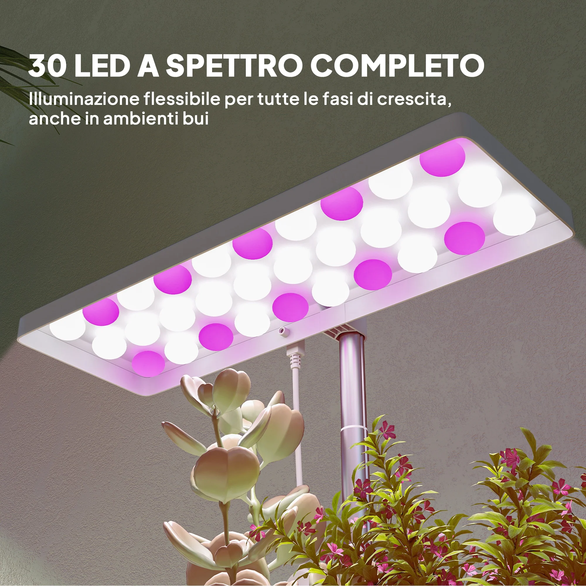Immagine prodotto 5