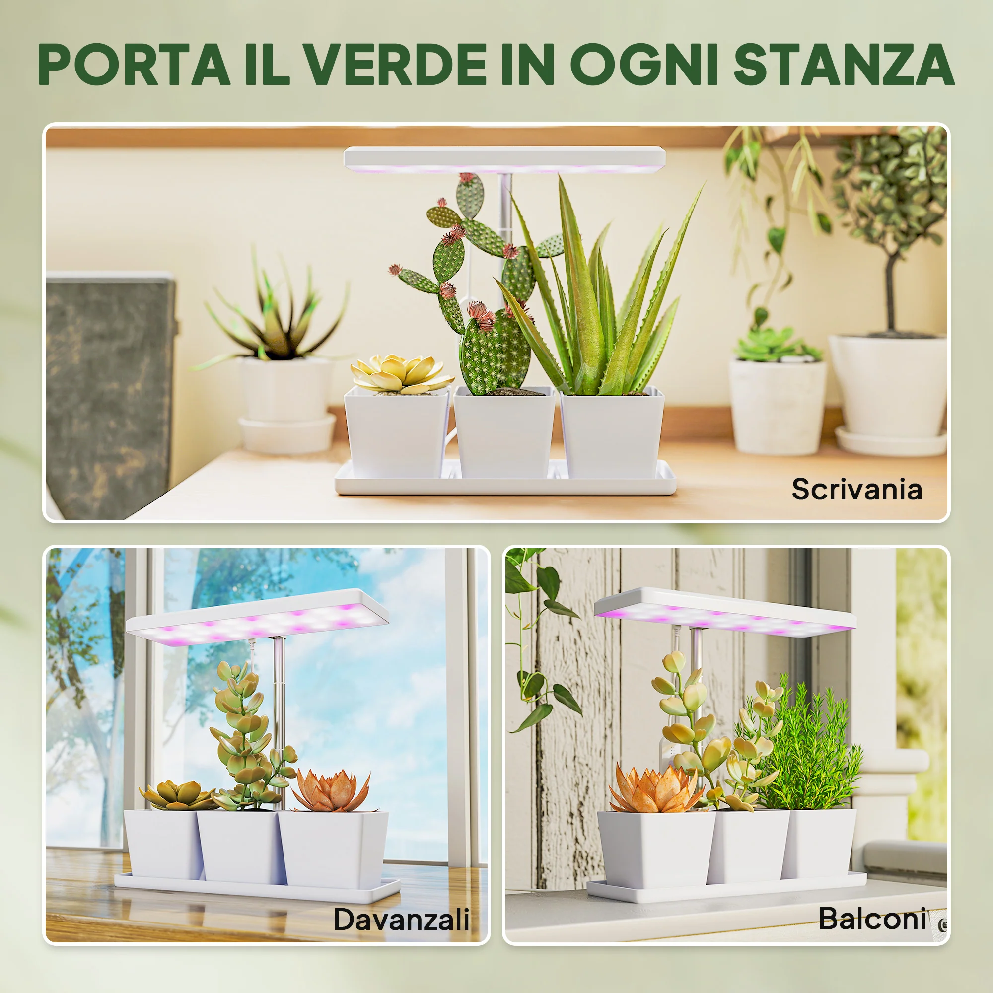 Immagine prodotto 9
