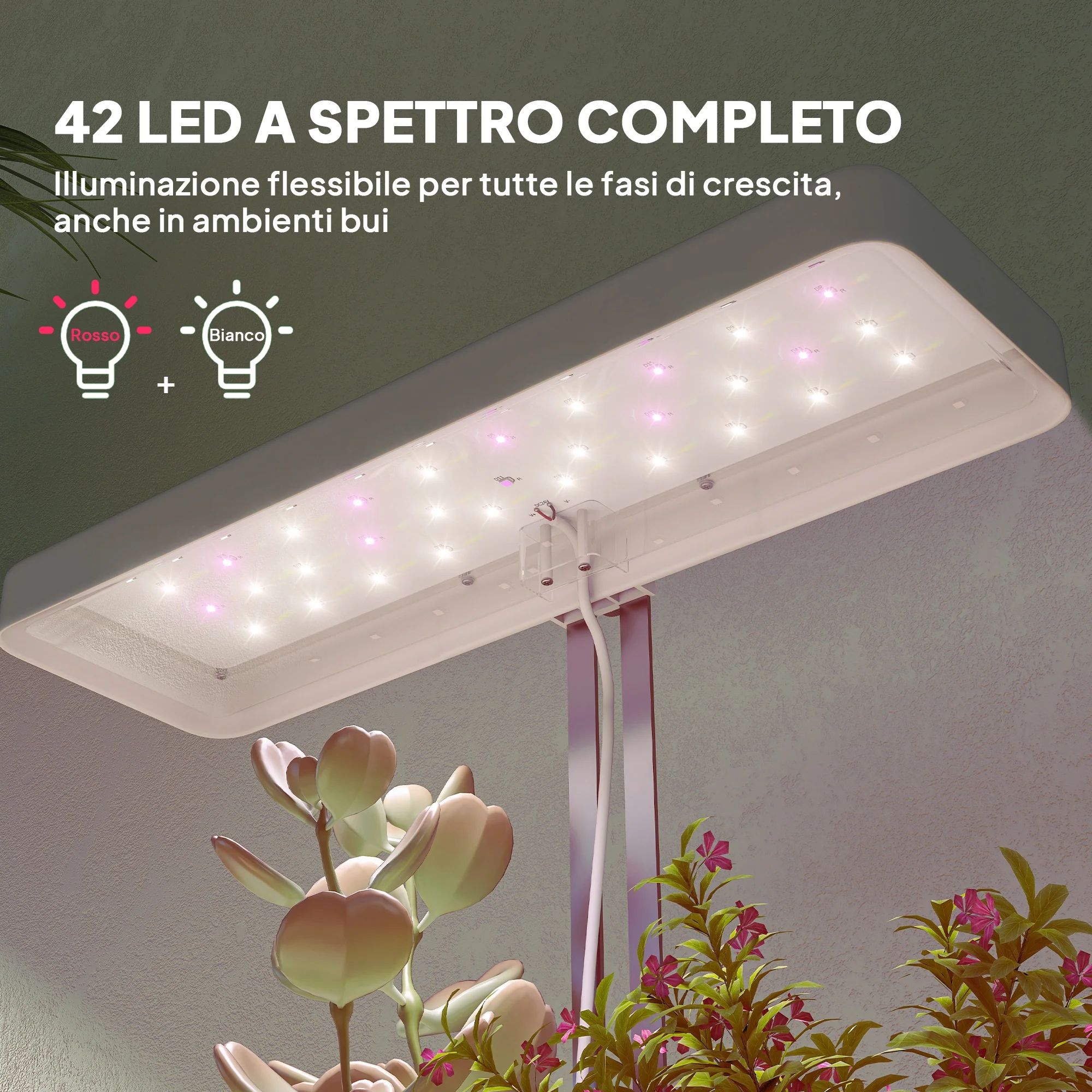 Immagine prodotto 5