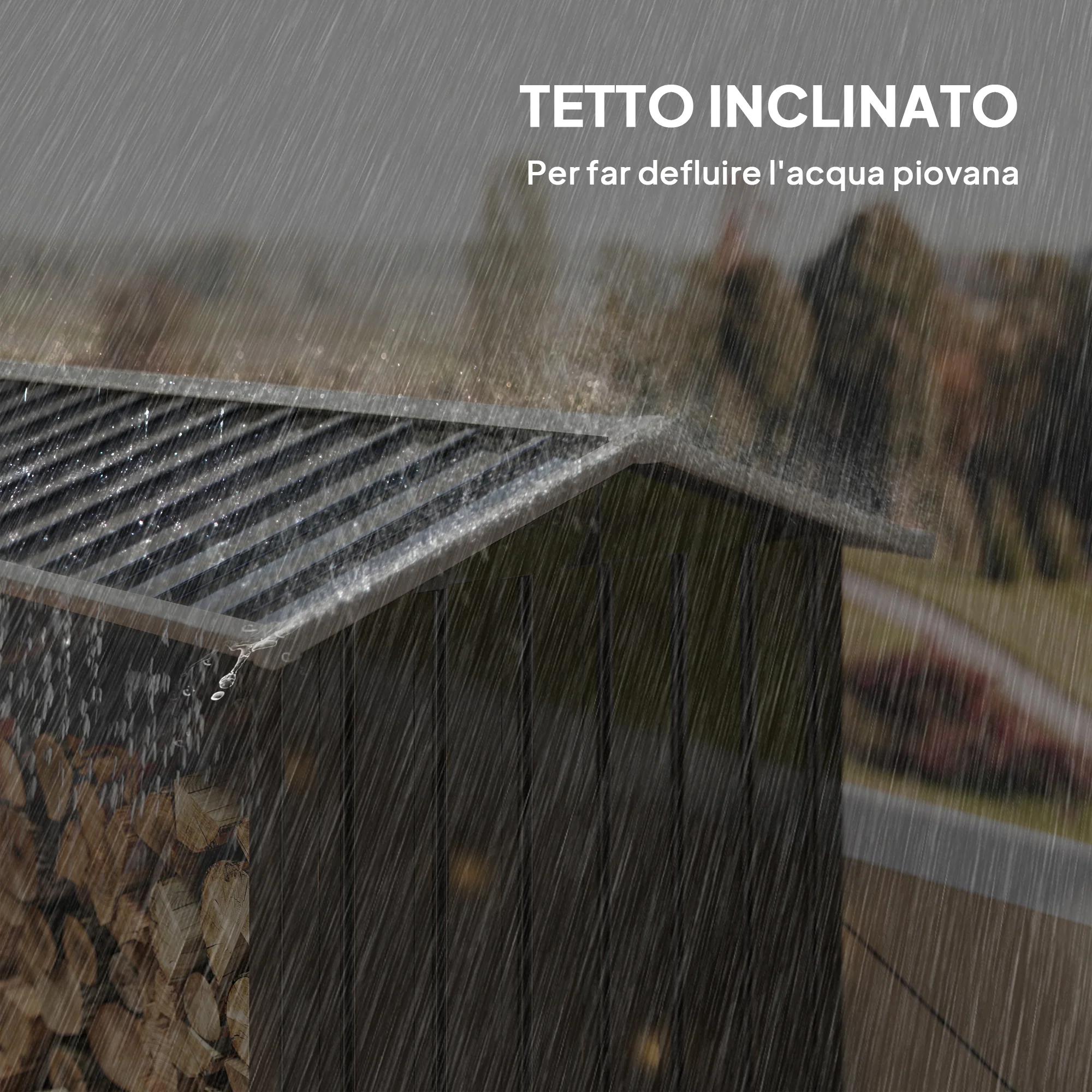 Immagine prodotto 6