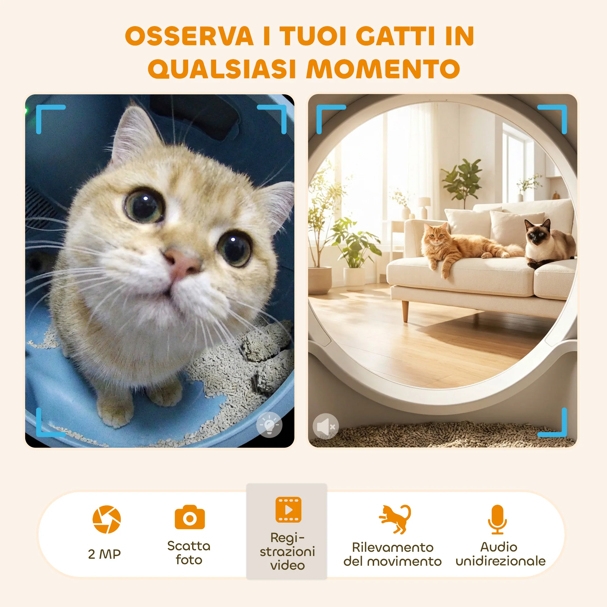 Immagine prodotto 9