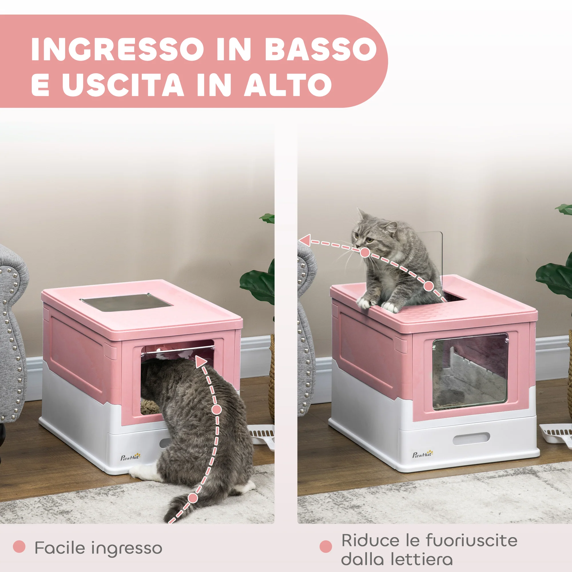 Immagine prodotto 5