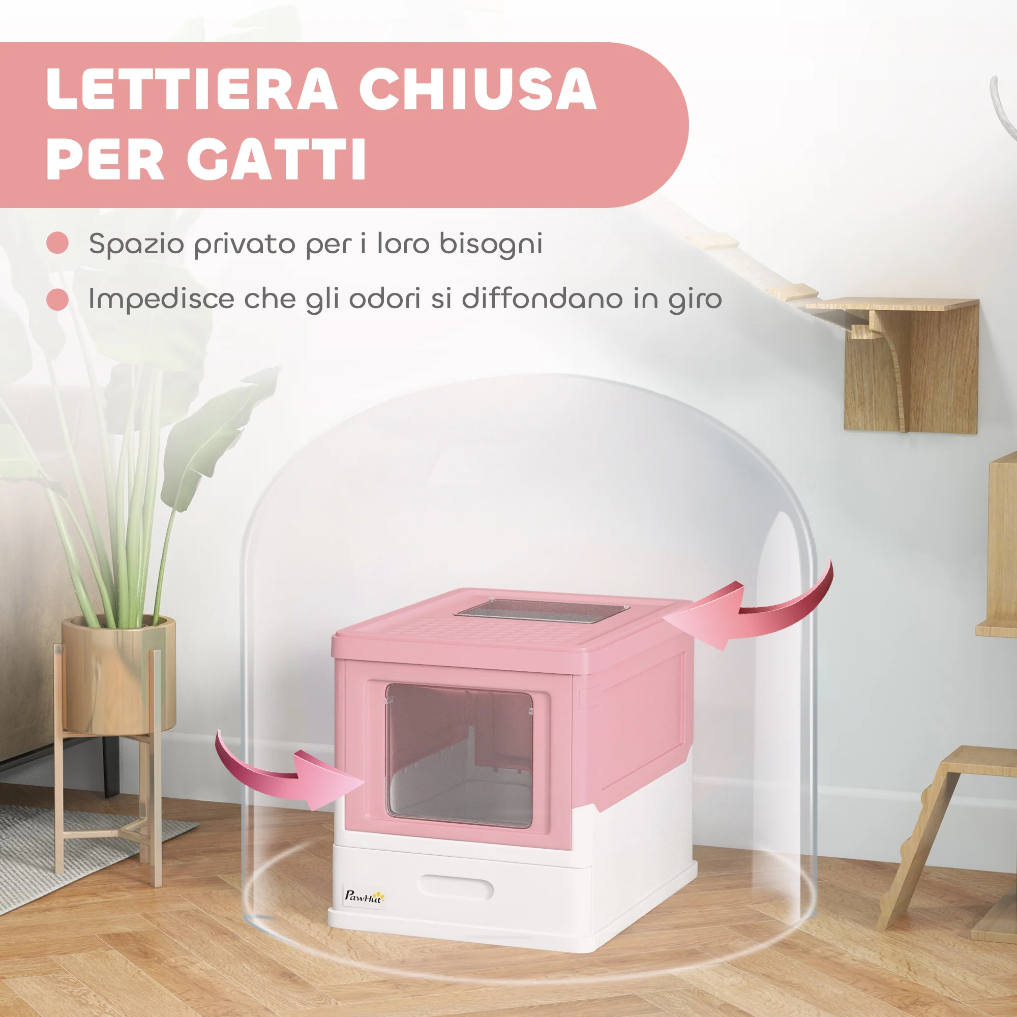 Immagine prodotto 6