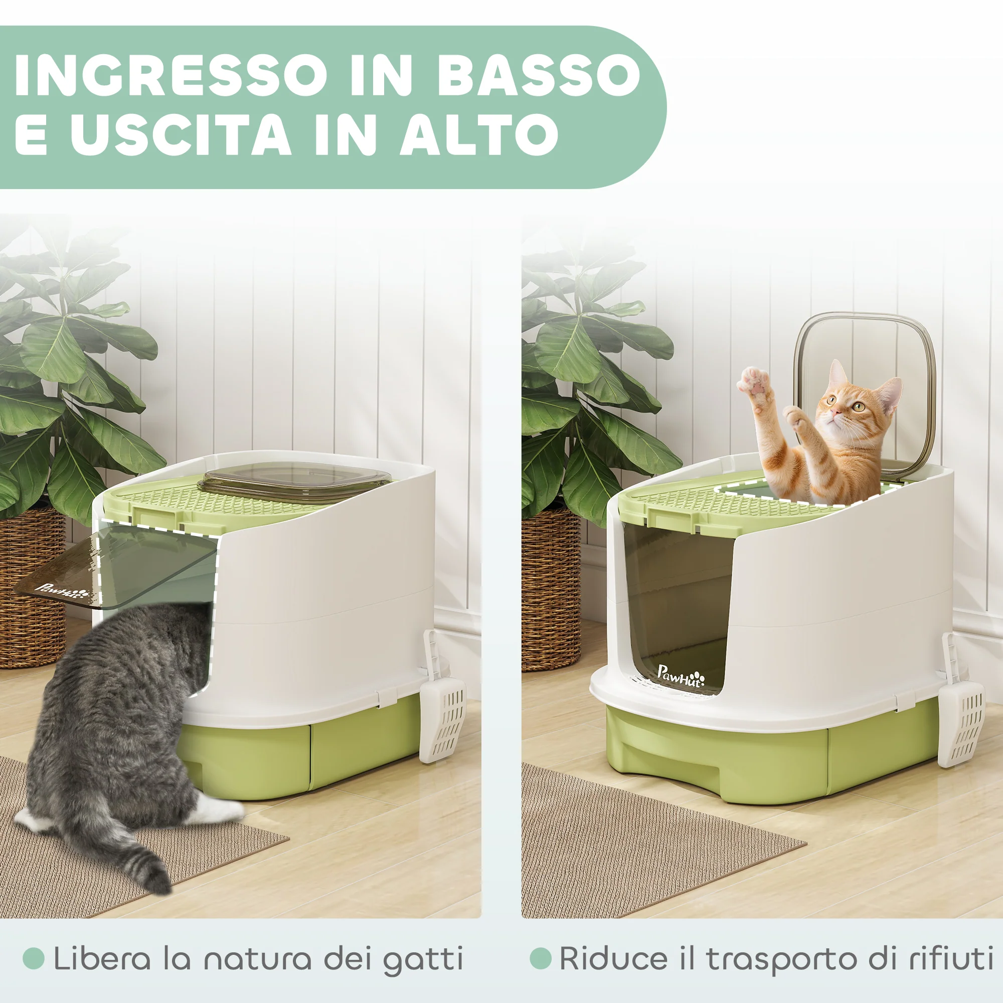 Immagine prodotto 6