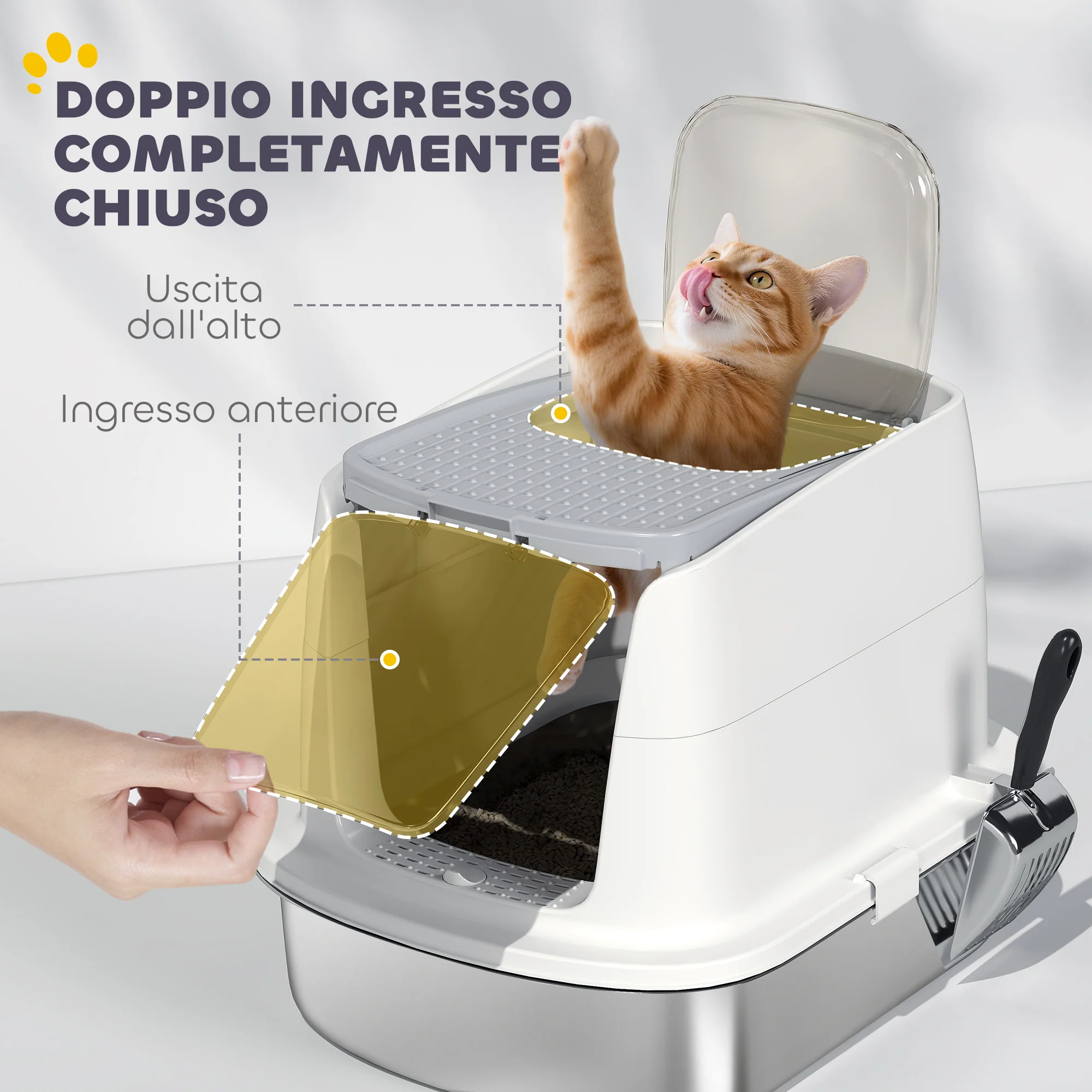 Immagine prodotto 5