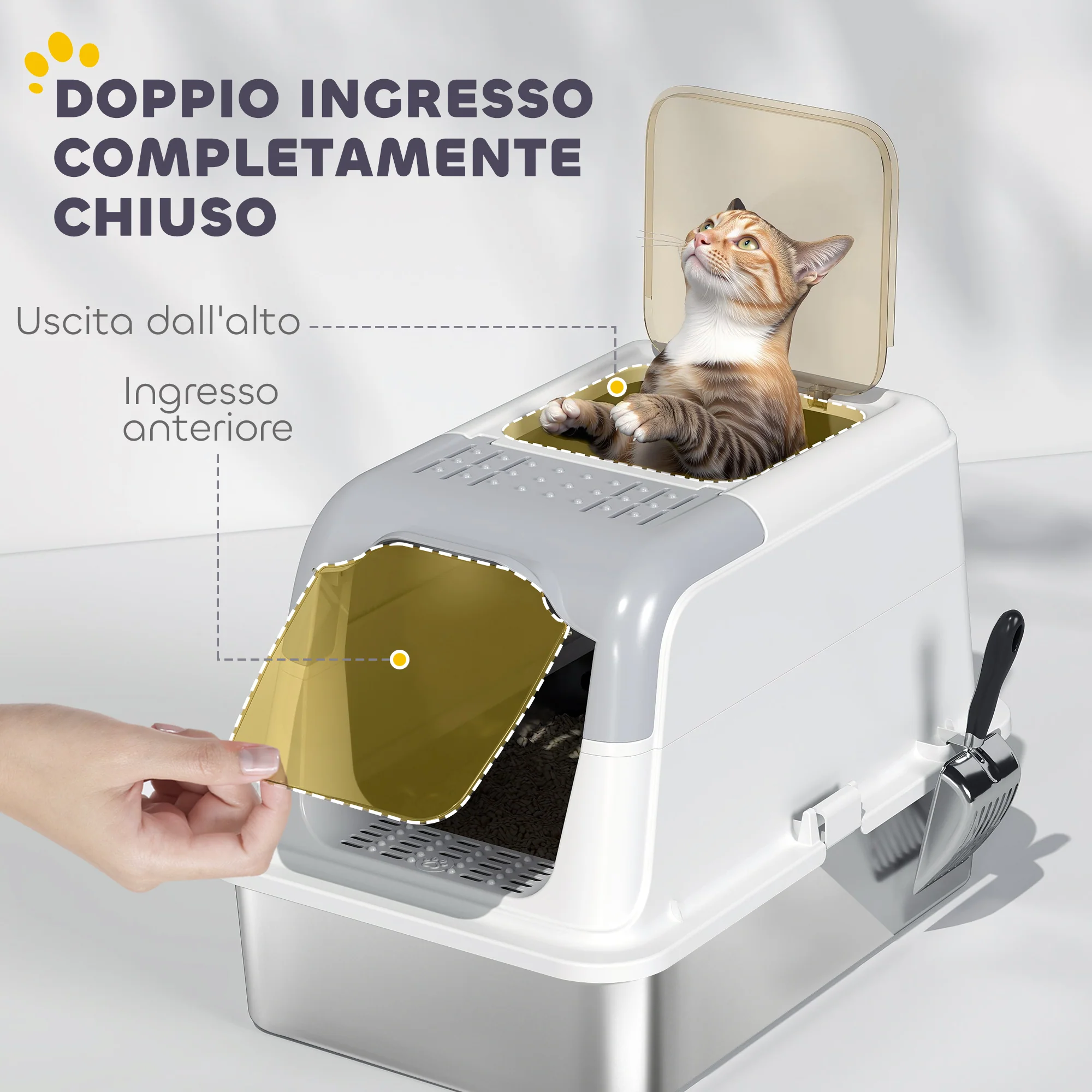 Immagine prodotto 5