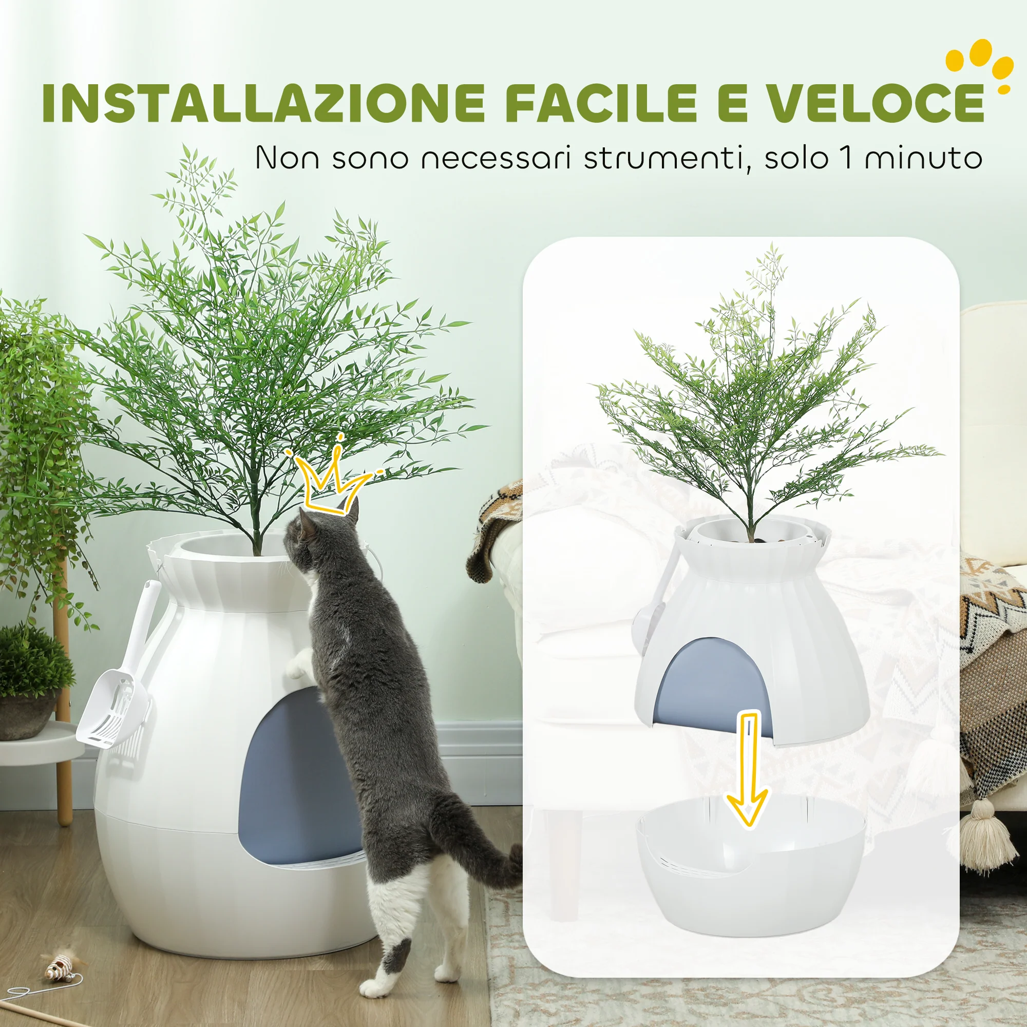 Immagine prodotto 6