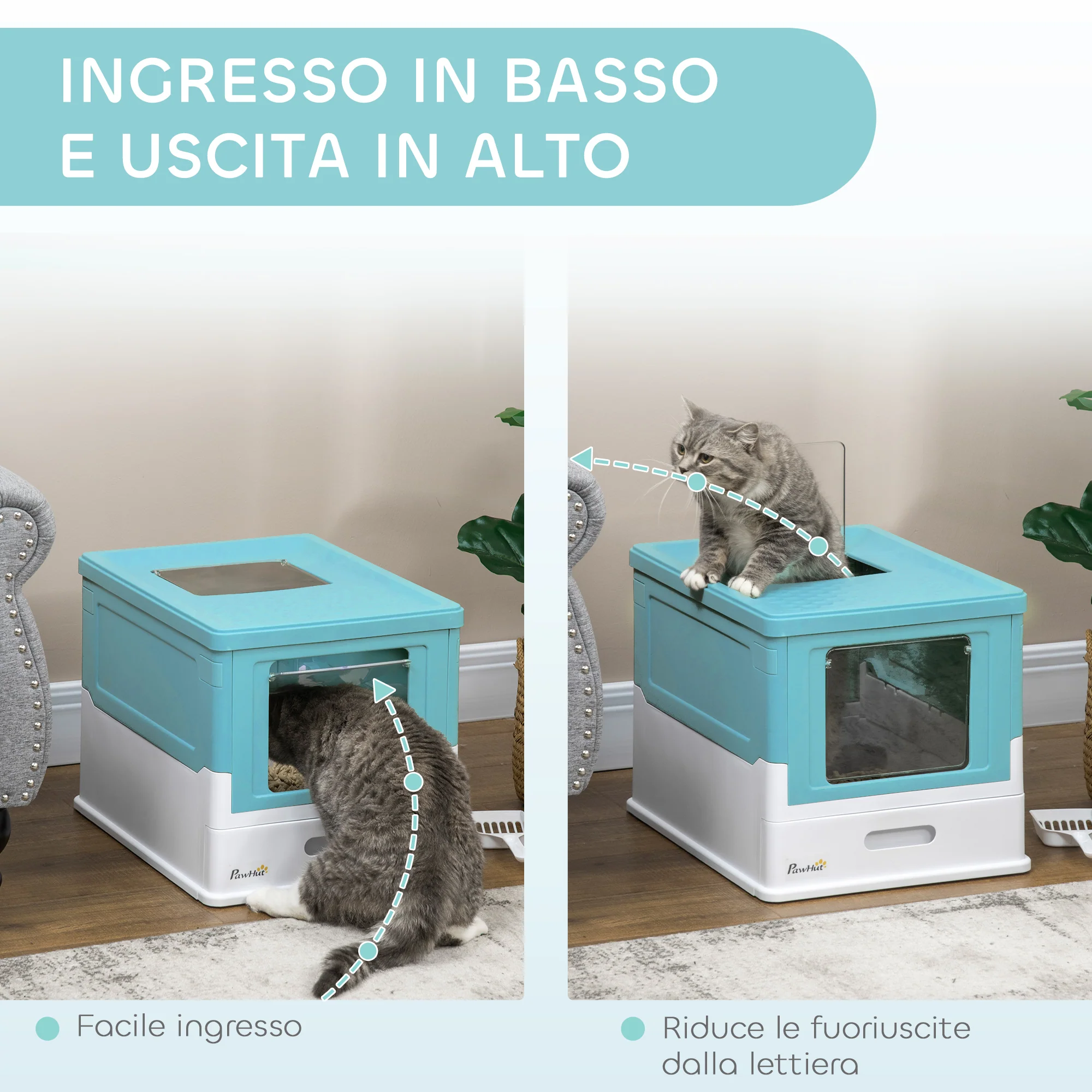 Immagine prodotto 5