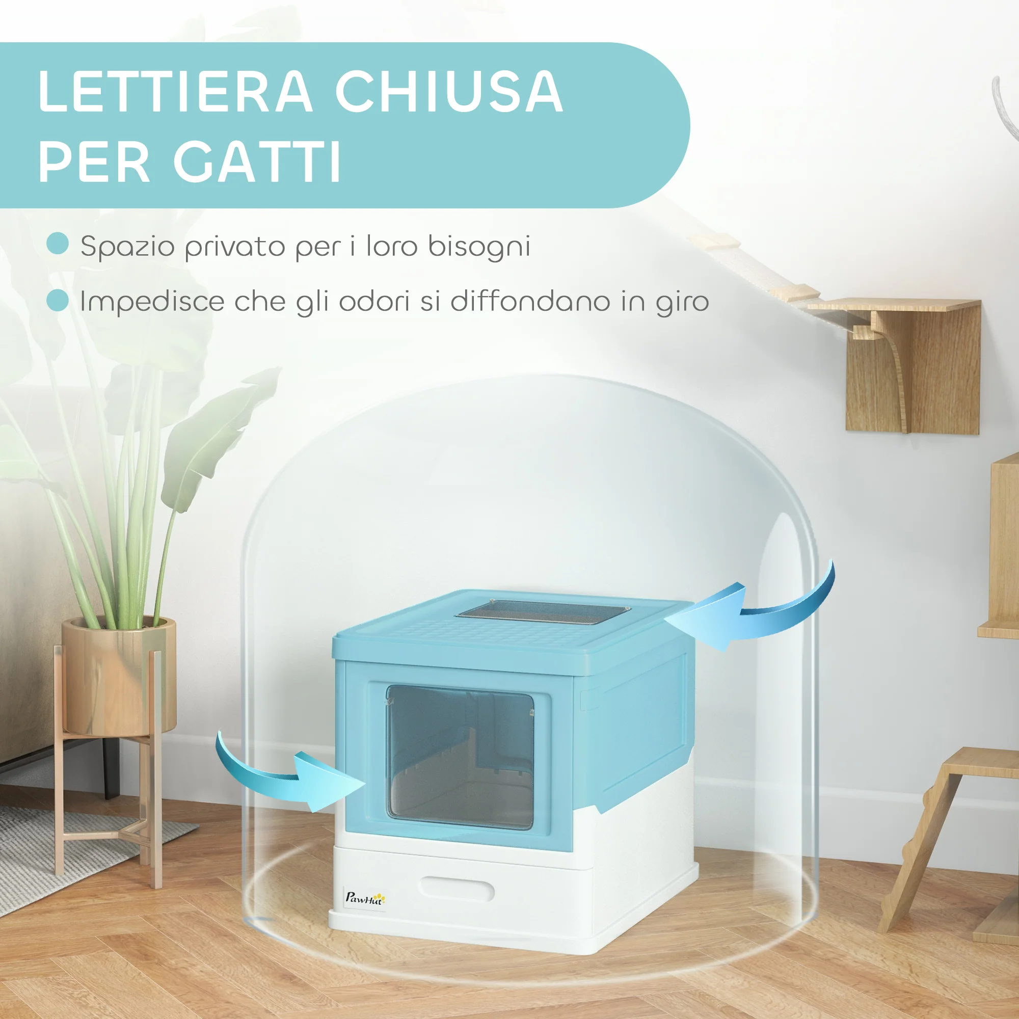 Immagine prodotto 6