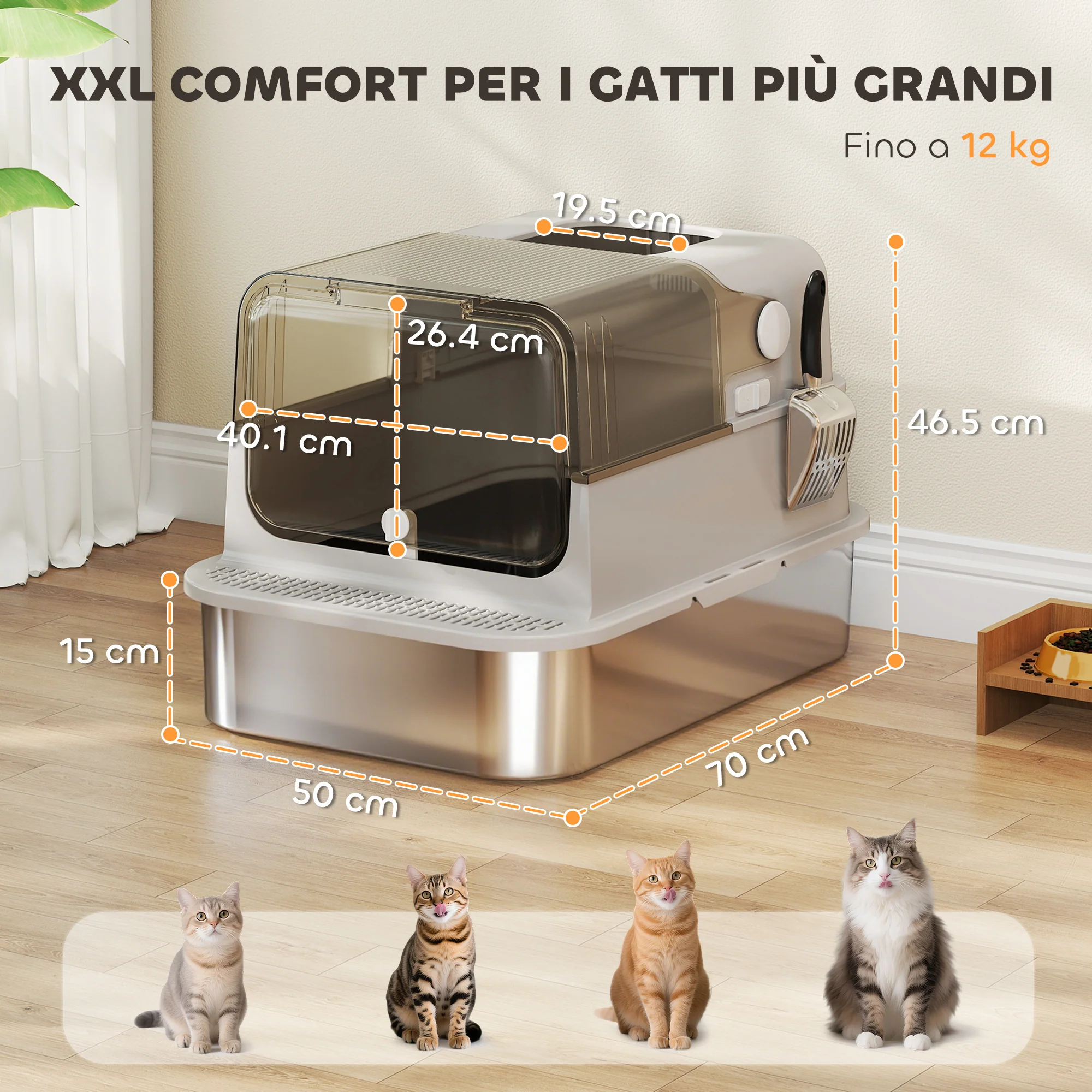 Immagine prodotto 3
