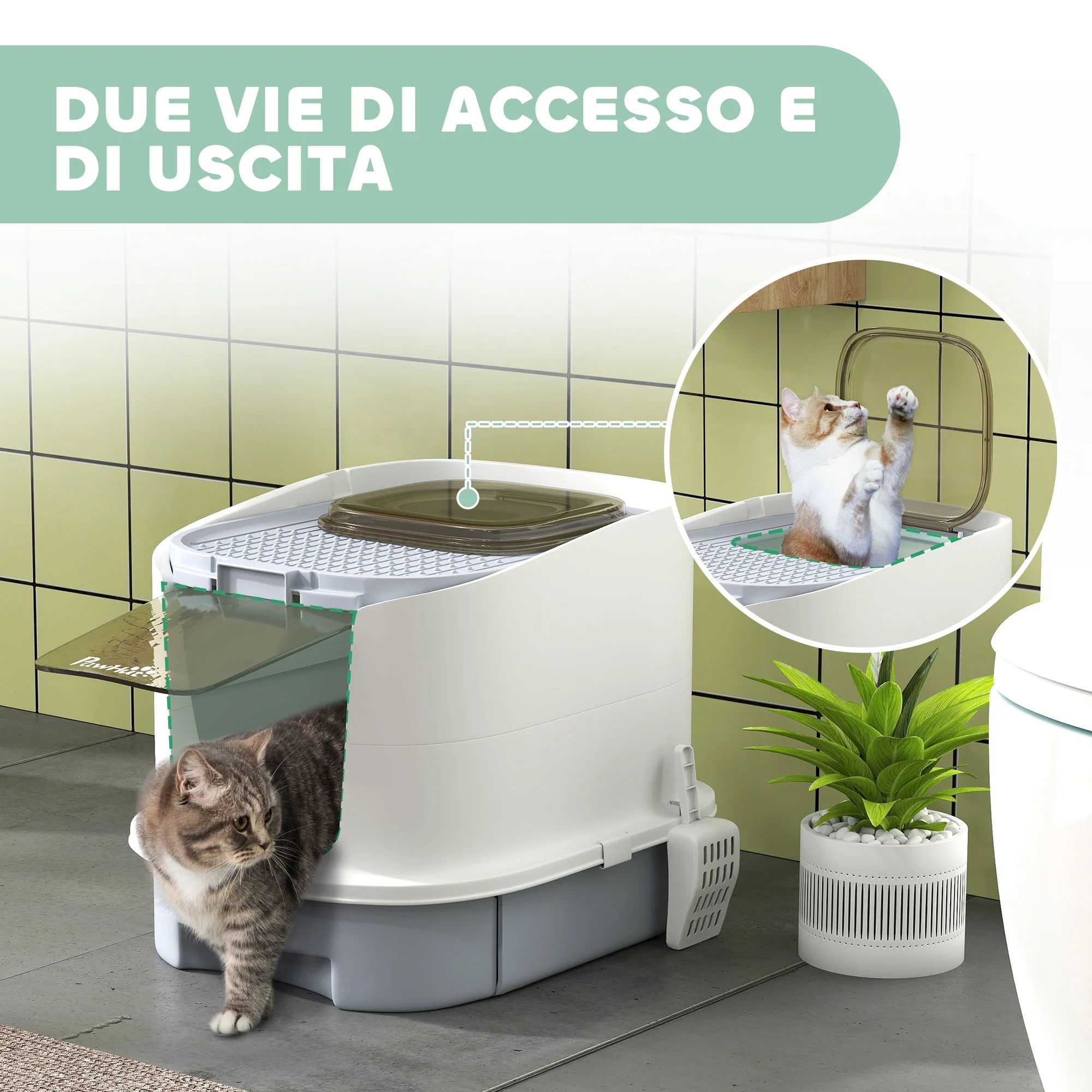 Immagine prodotto 6