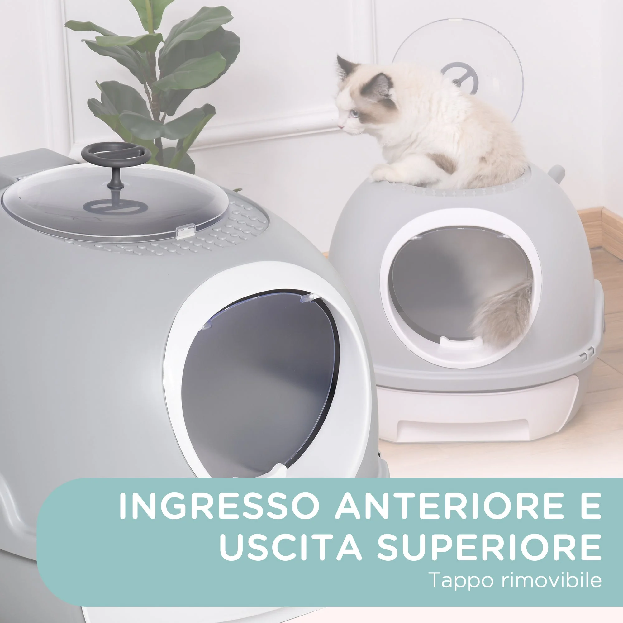 Immagine prodotto 7