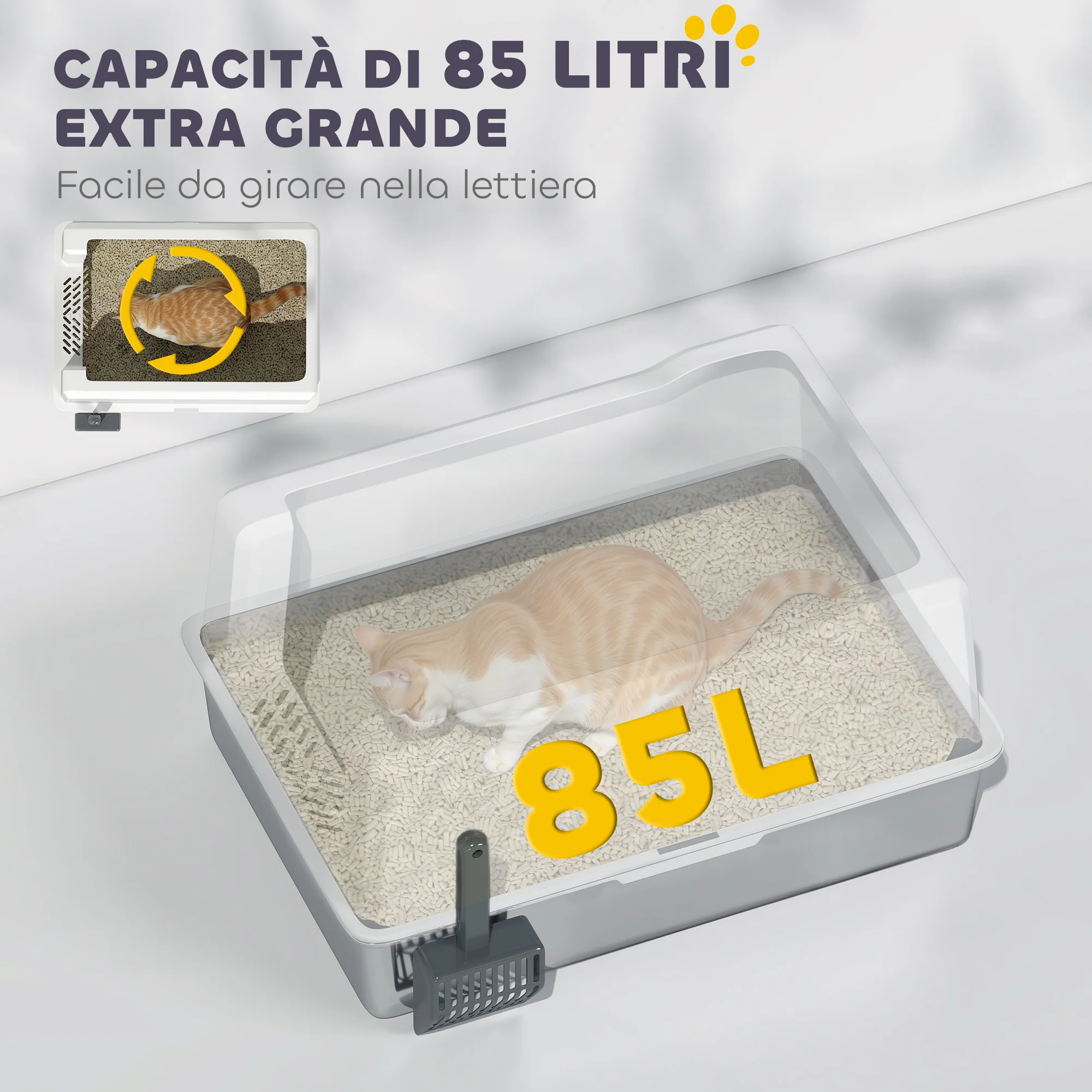 Immagine prodotto 6