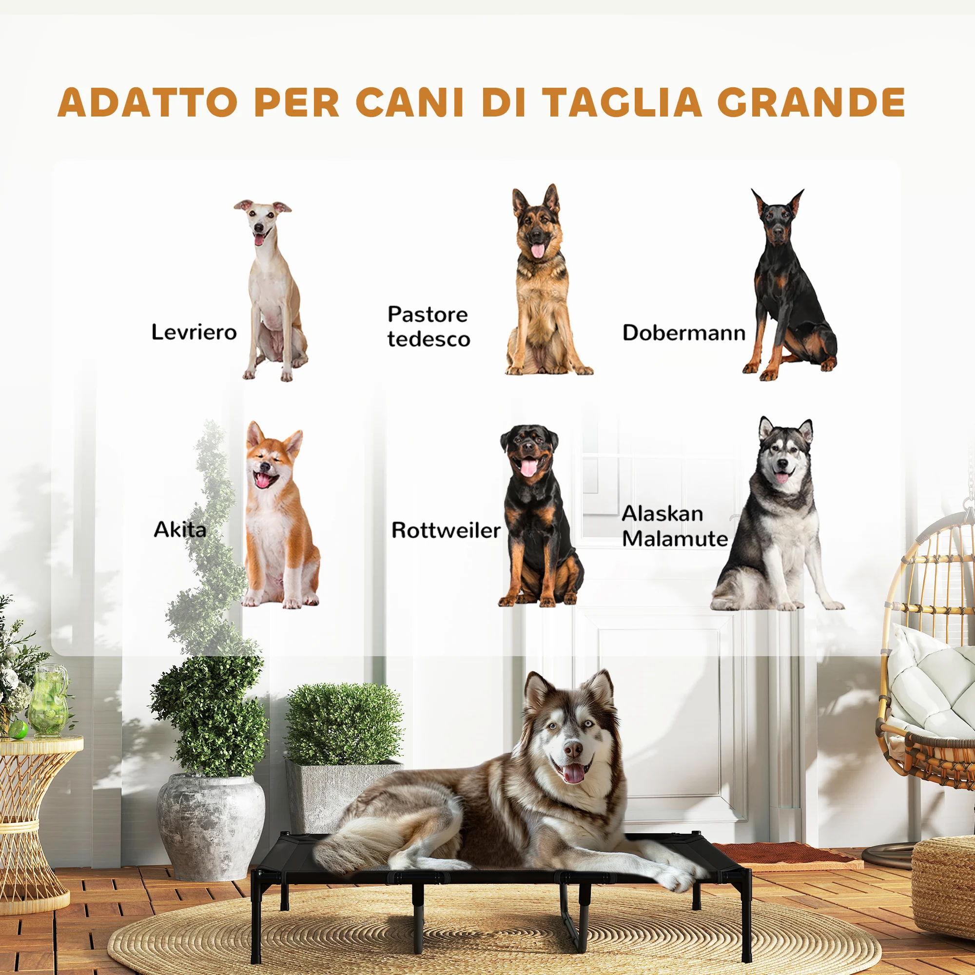 Immagine prodotto 4