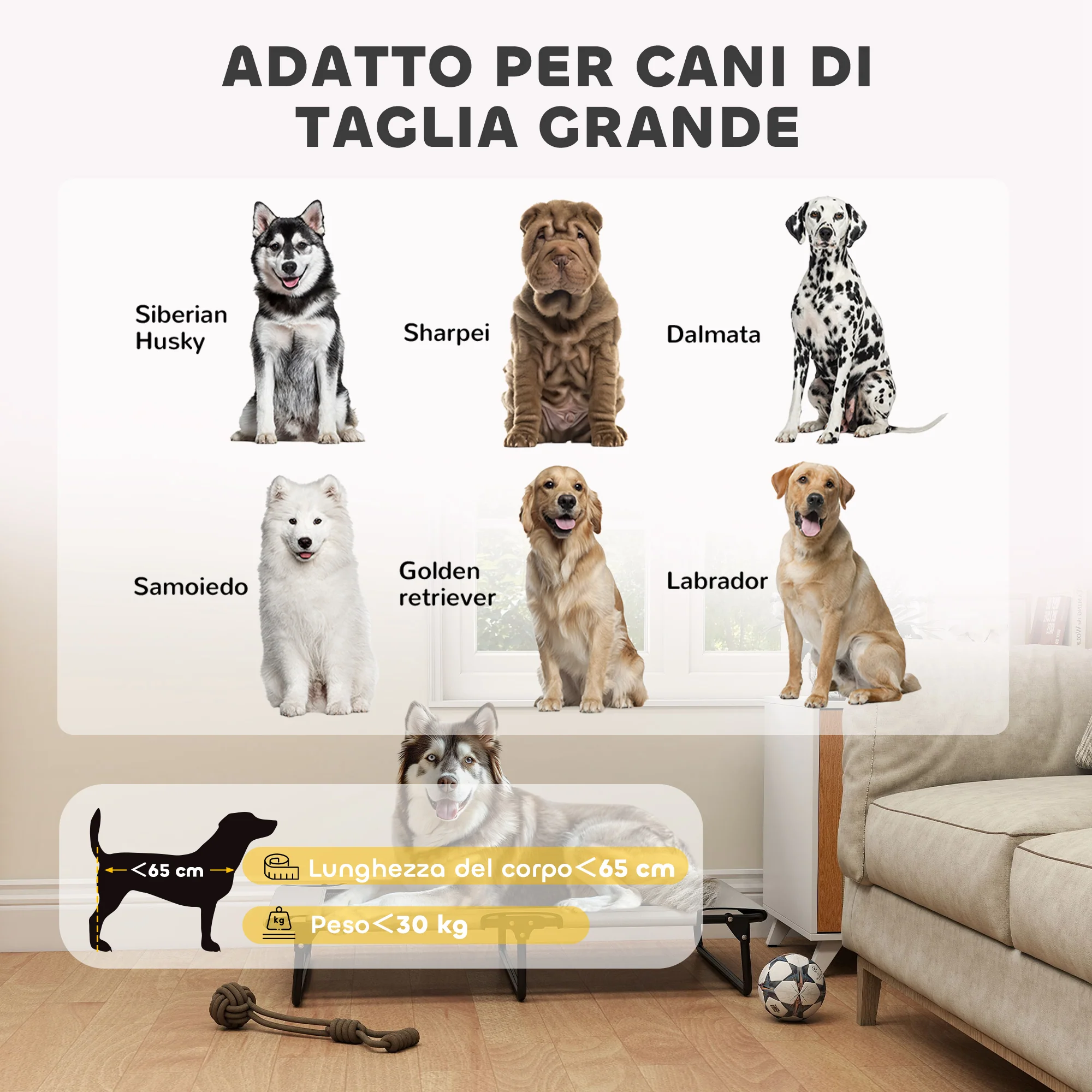 Immagine prodotto 8
