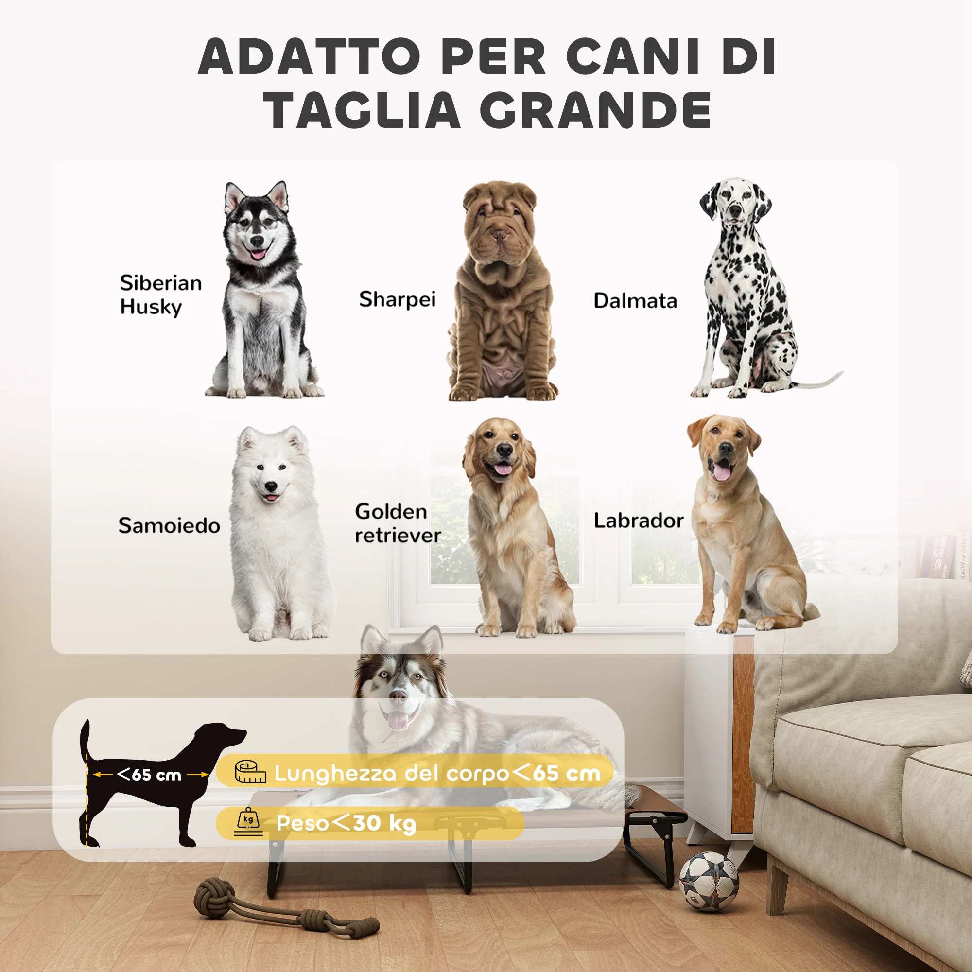 Immagine prodotto 8