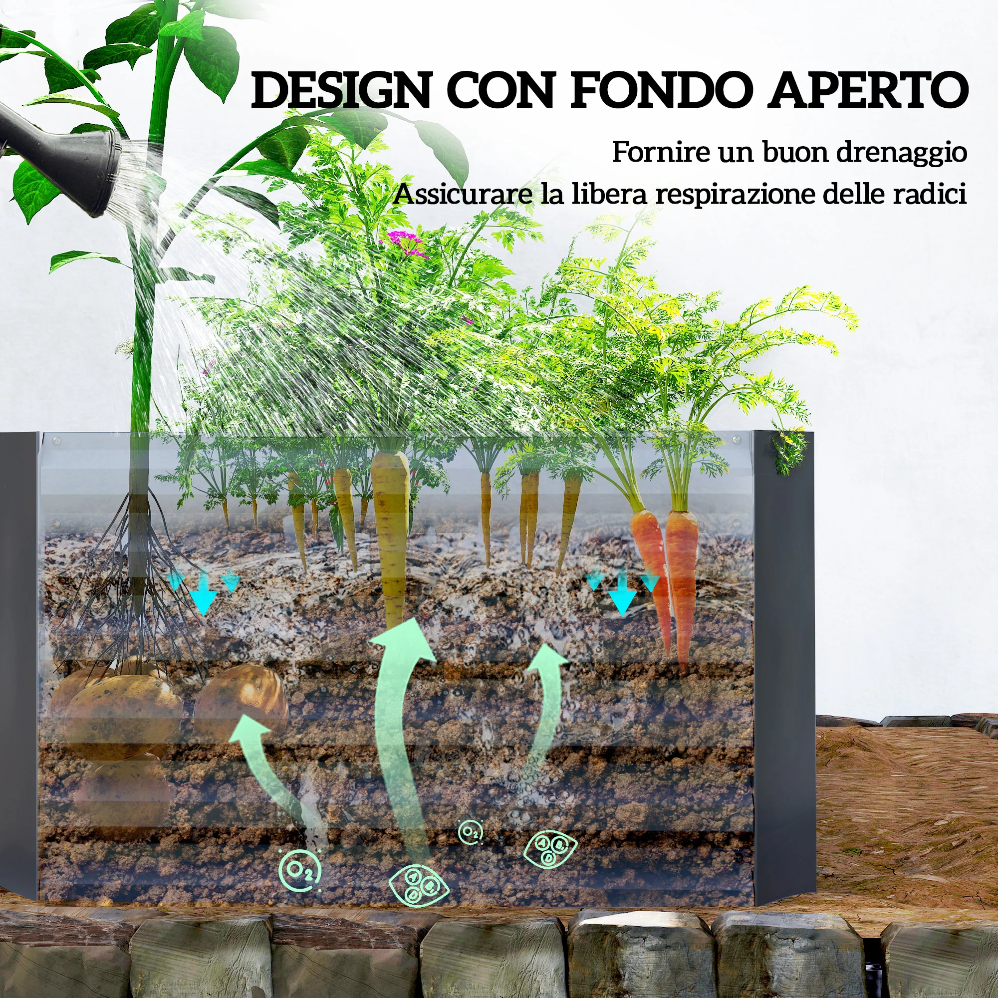 Immagine prodotto 6