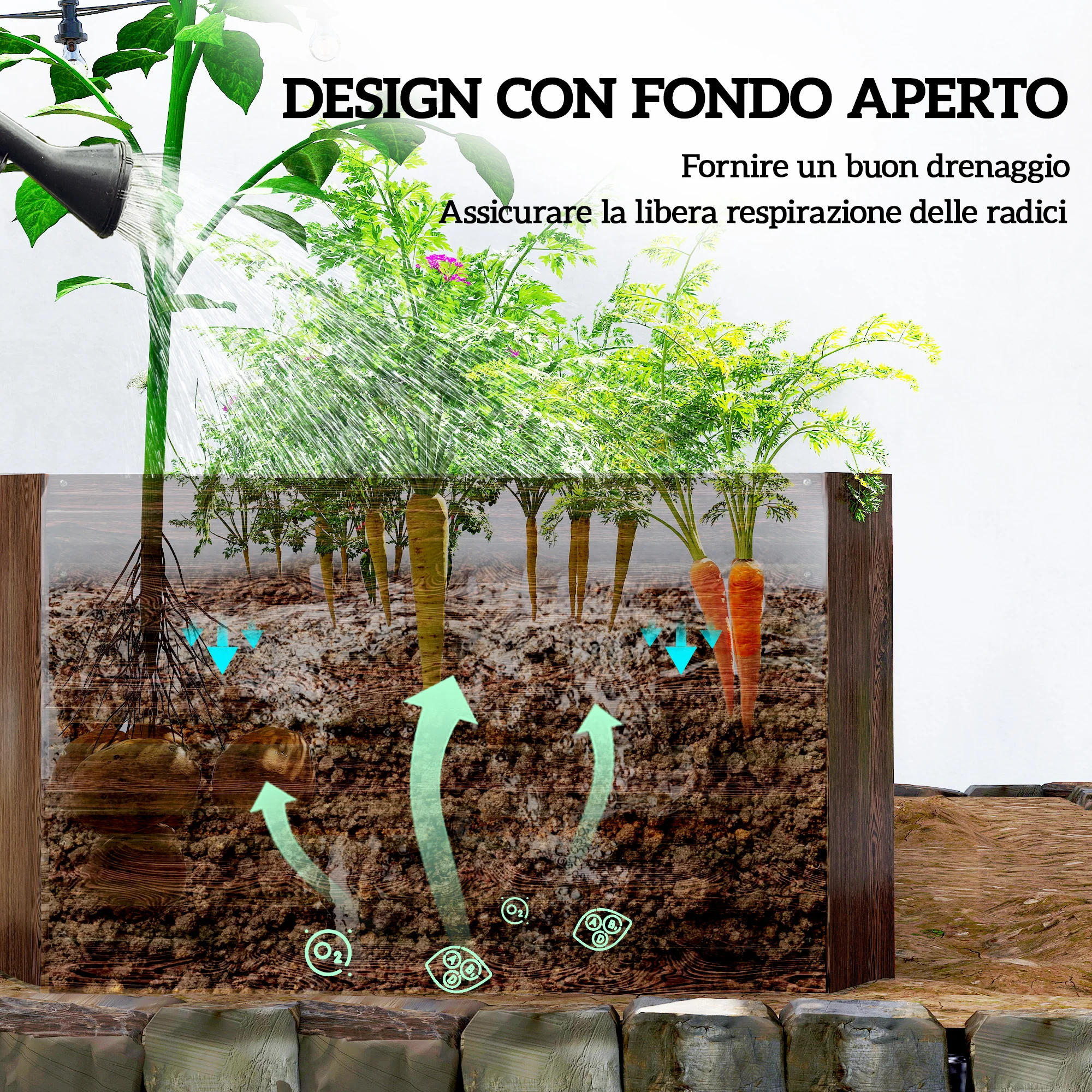 Immagine prodotto 6