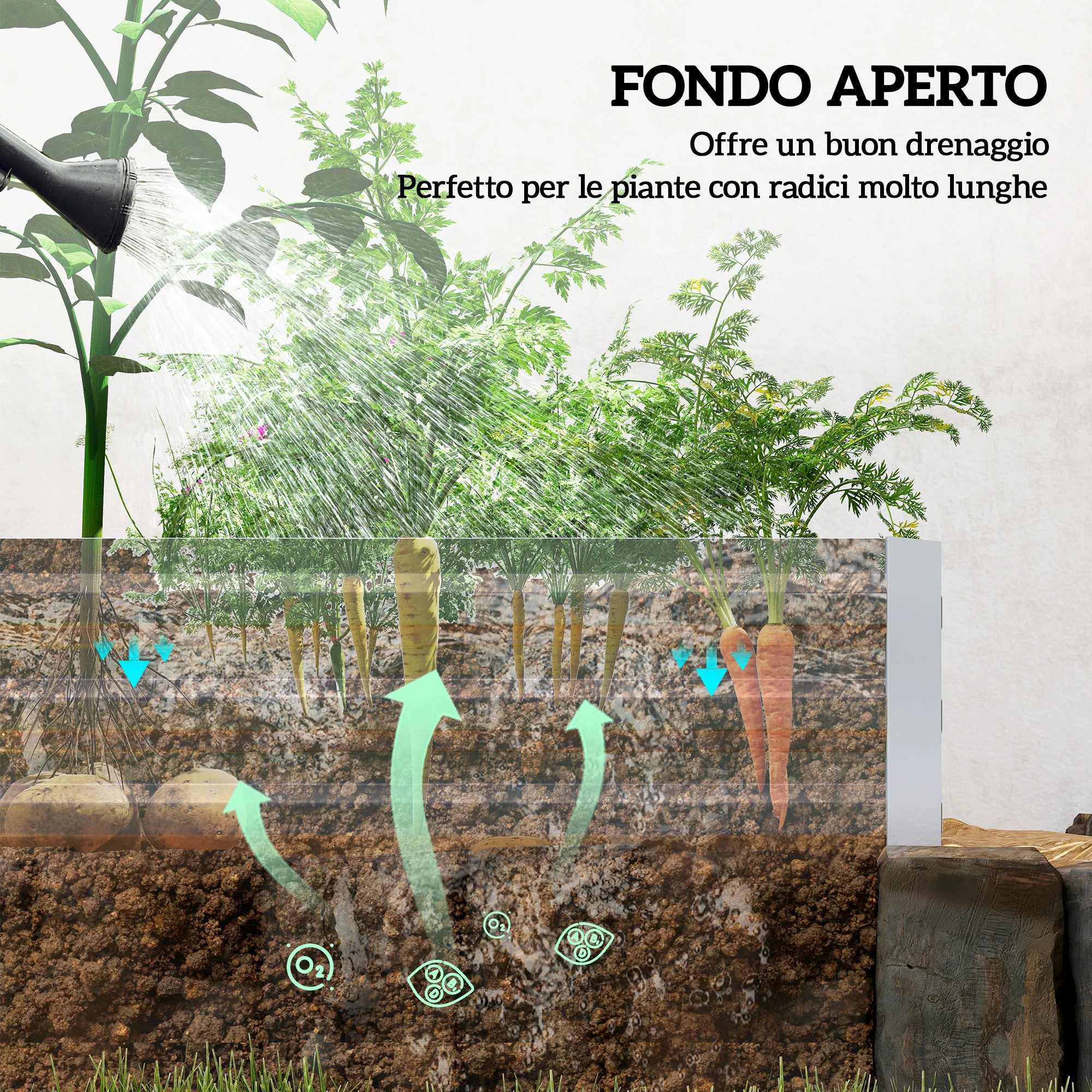 Immagine prodotto 4