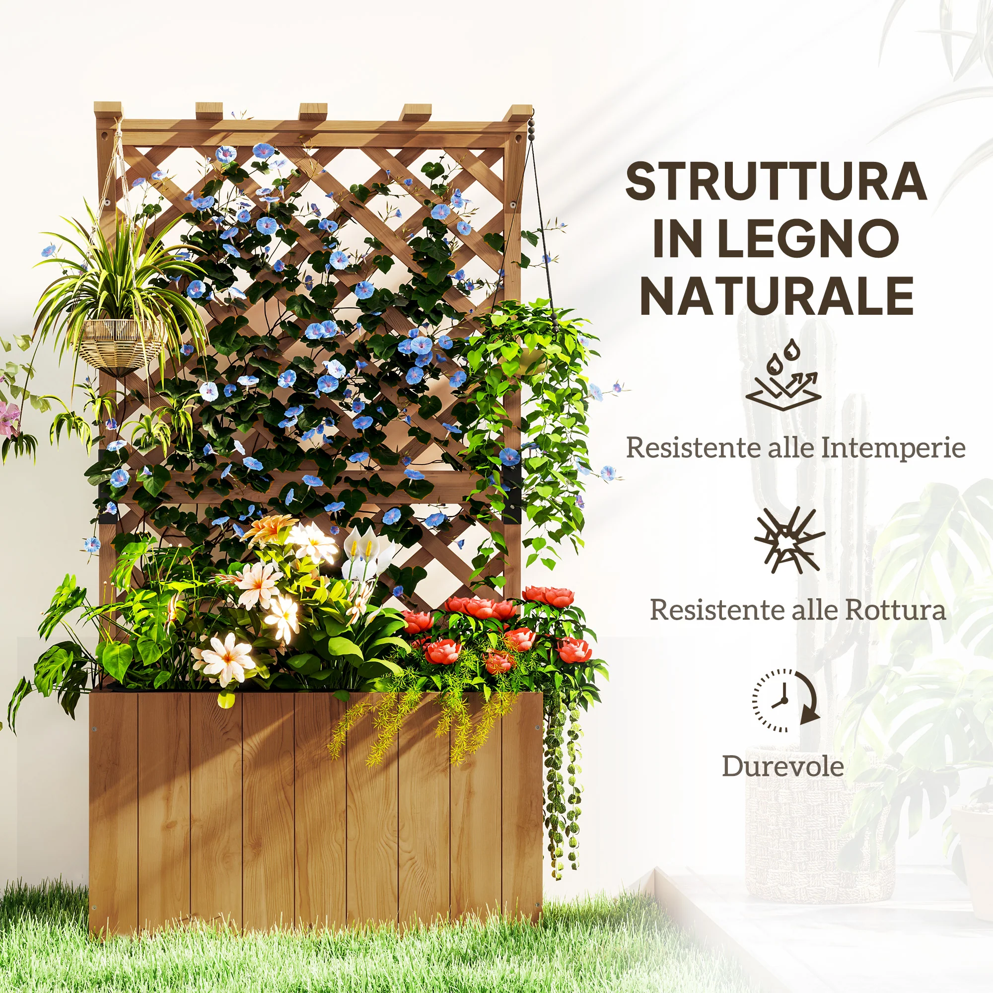 Immagine prodotto 6