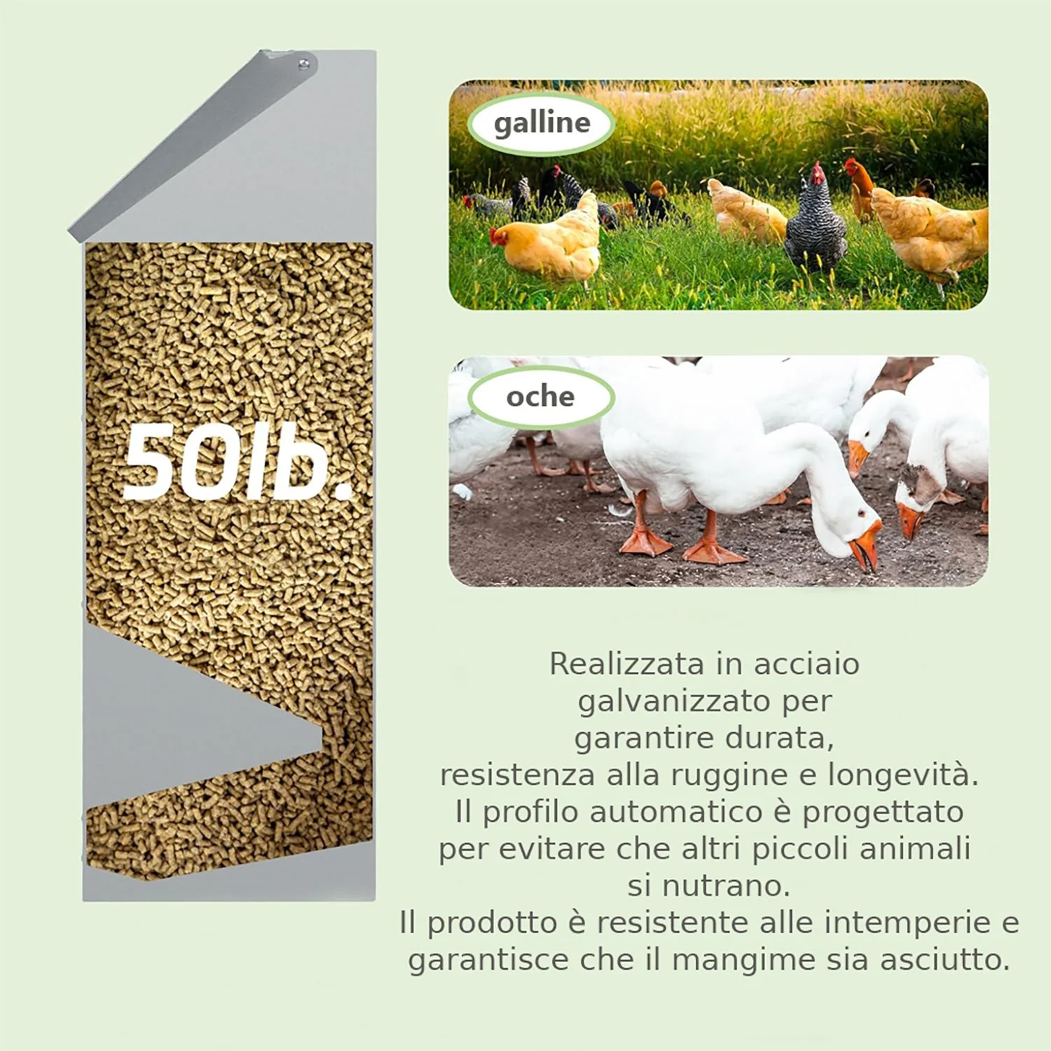 Immagine prodotto 5
