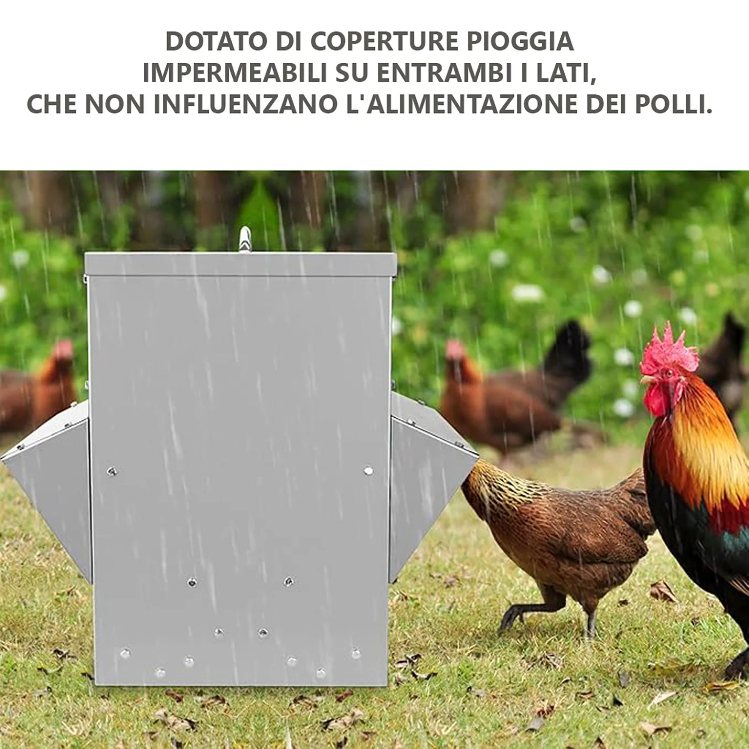 Immagine prodotto 4