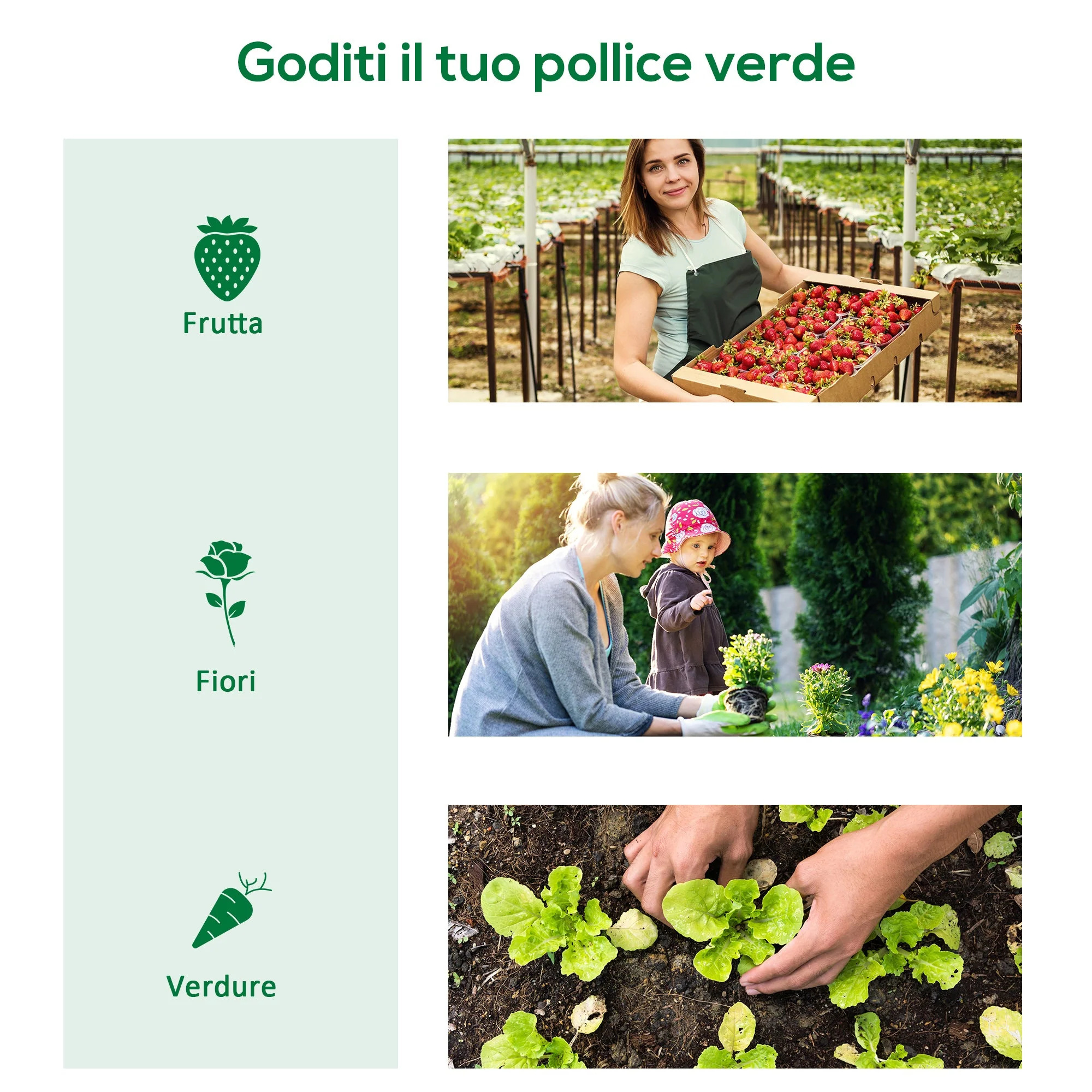 Immagine prodotto 7
