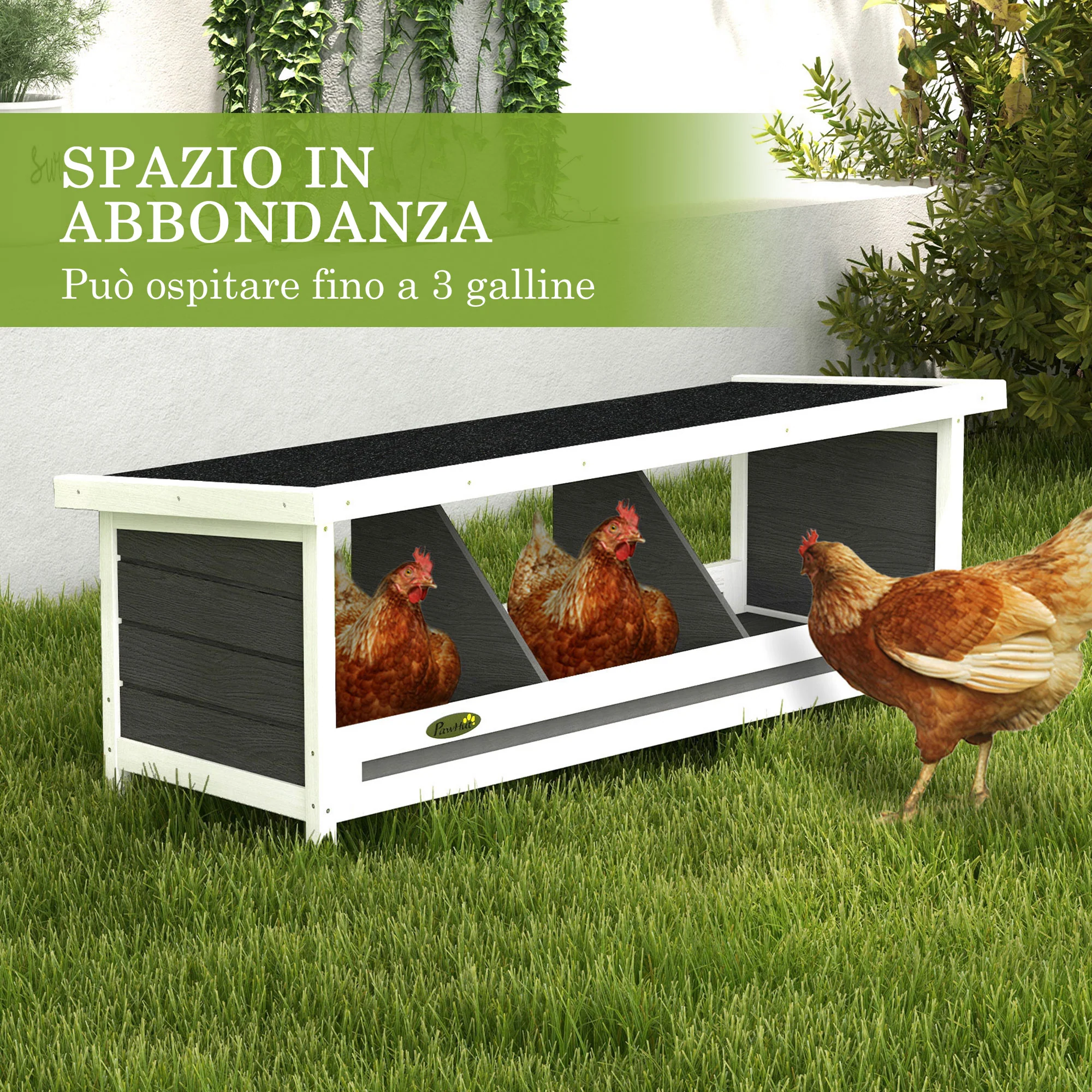 Immagine prodotto 4