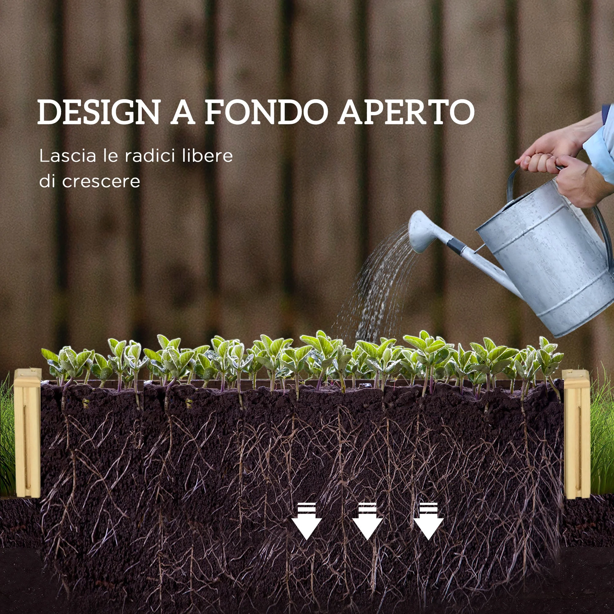 Immagine prodotto 6