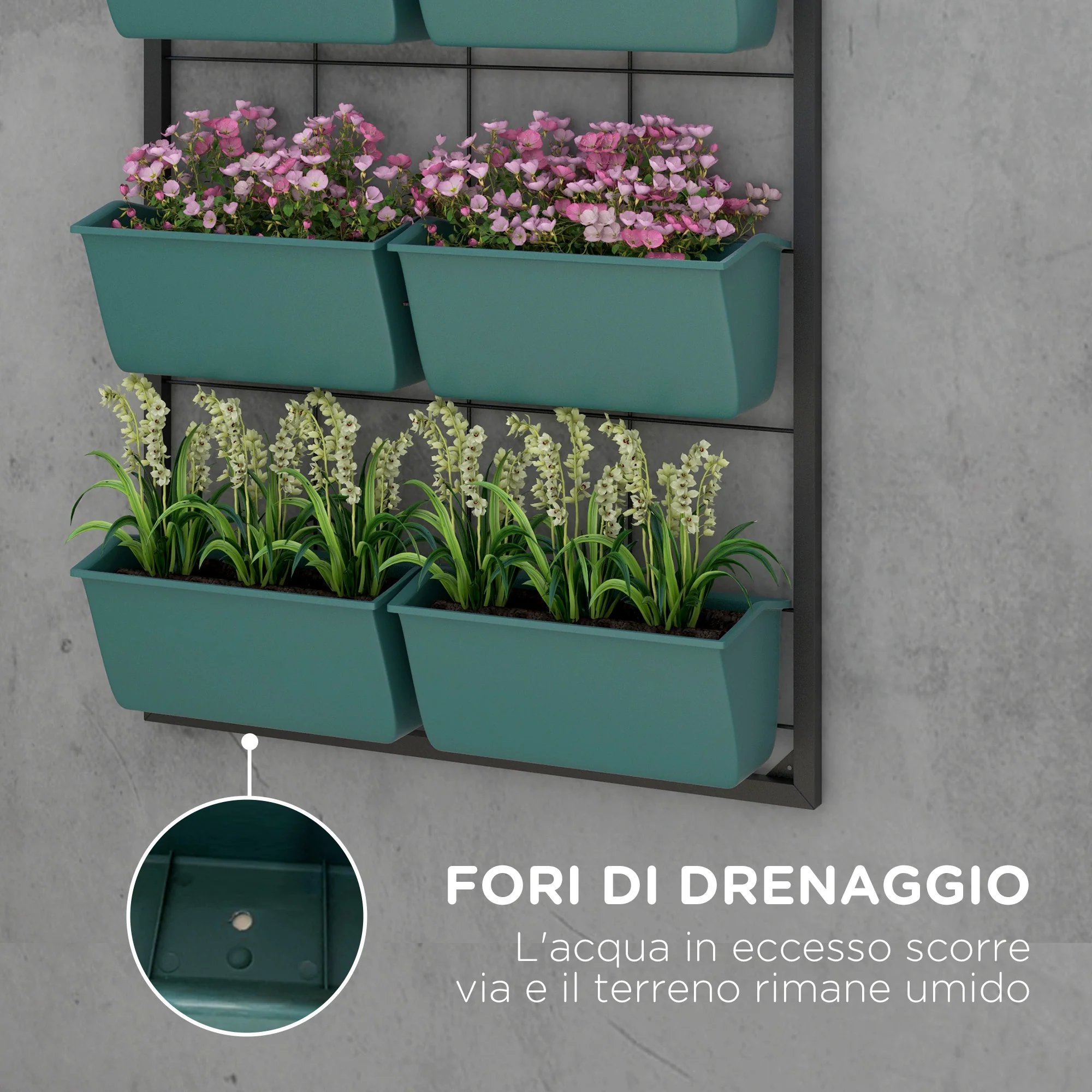 Immagine prodotto 6