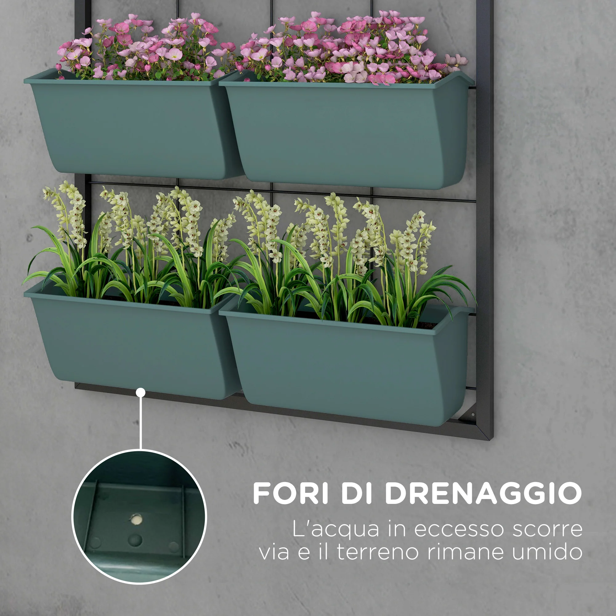 Immagine prodotto 6