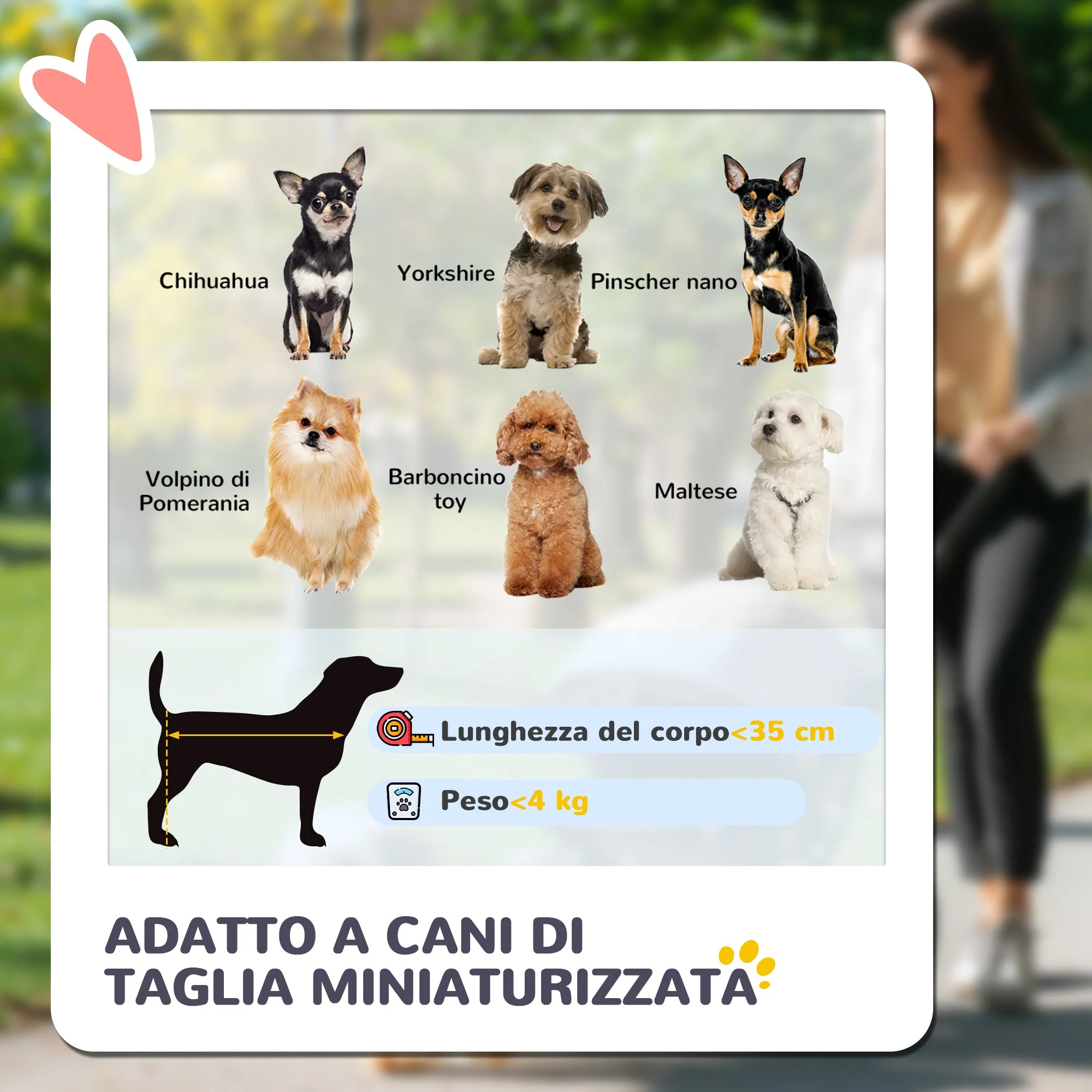 Immagine prodotto 6