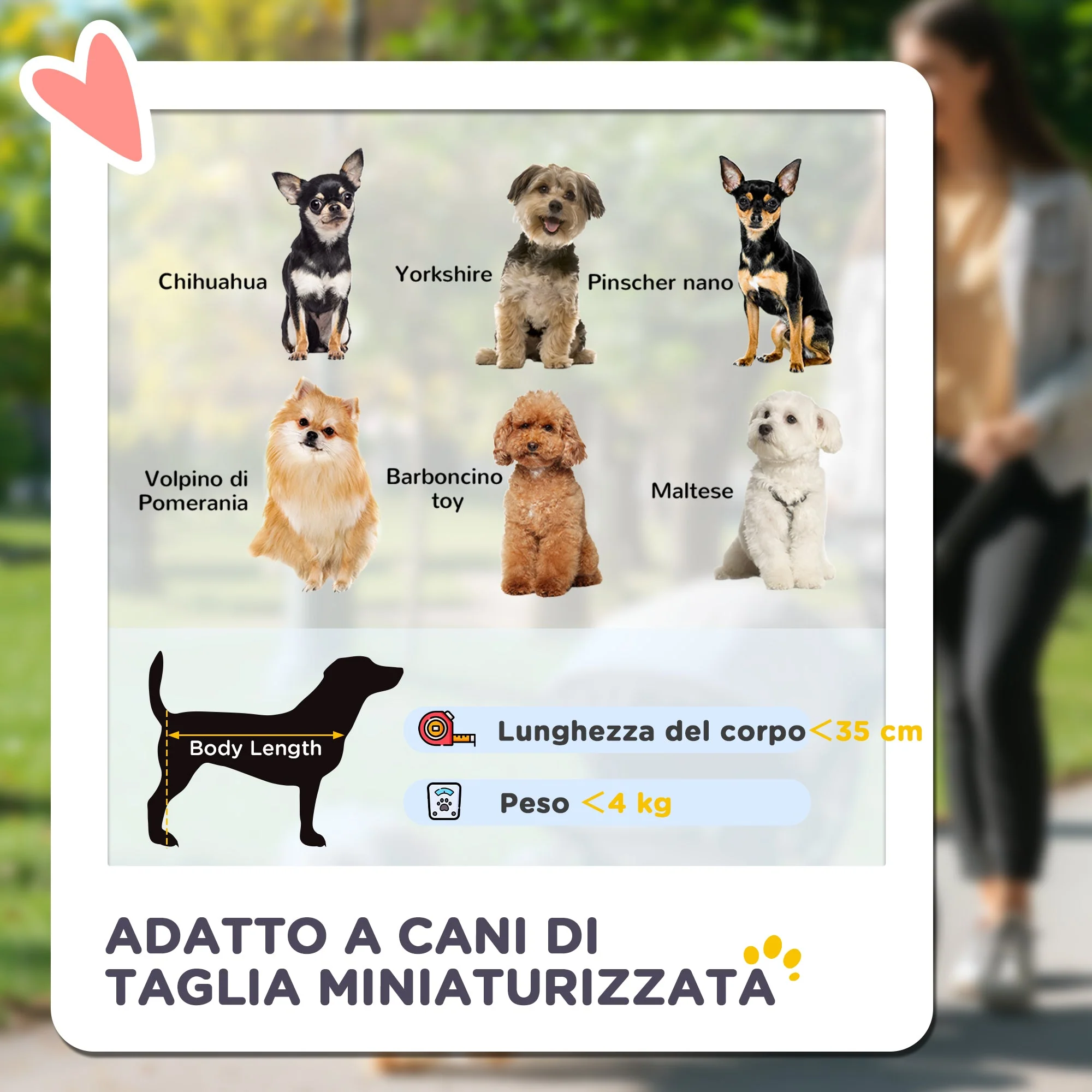 Immagine prodotto 6