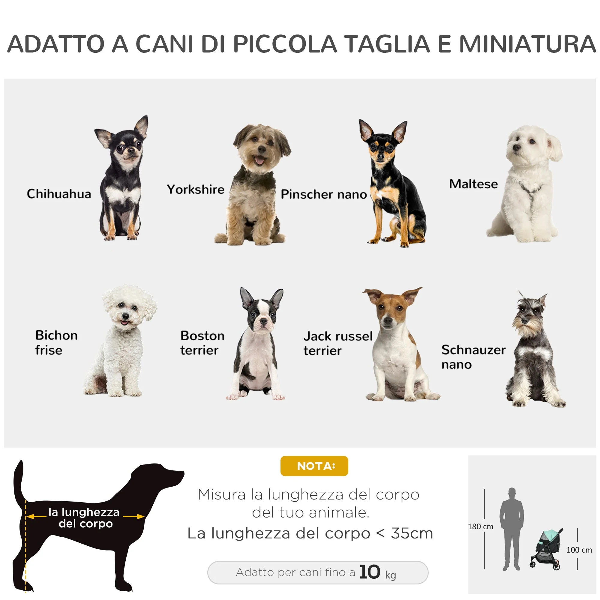 Immagine prodotto 4