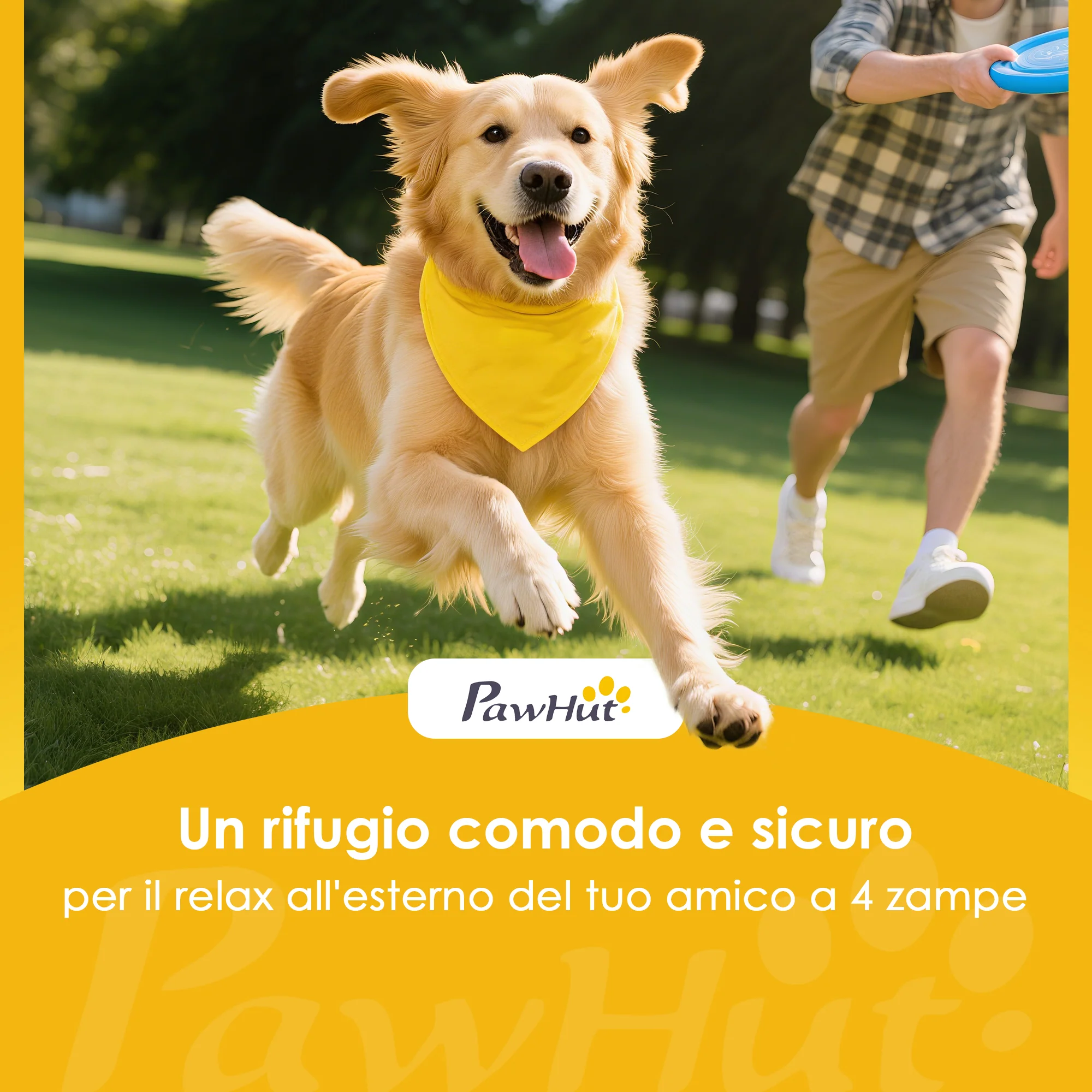 Immagine prodotto 9