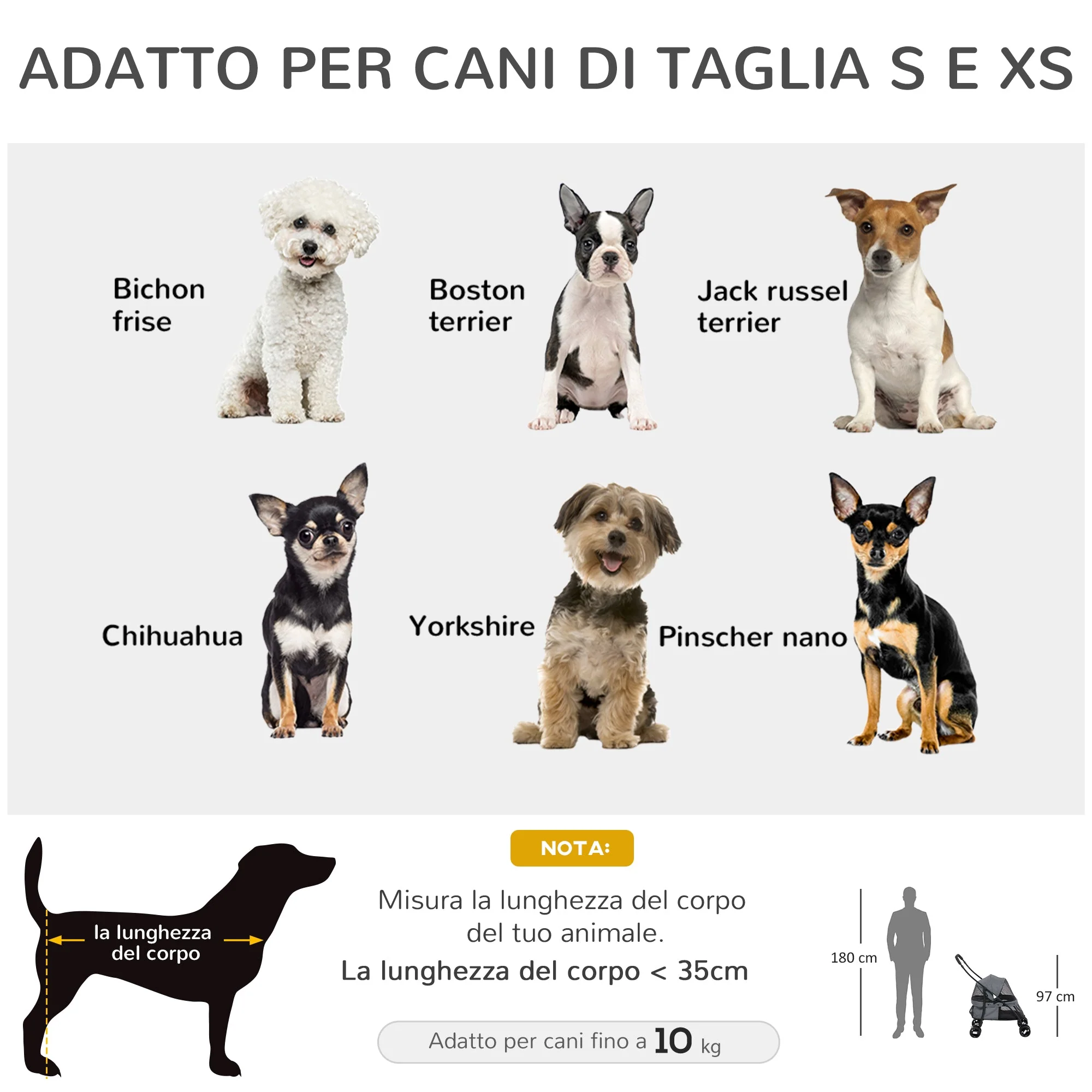 Immagine prodotto 4